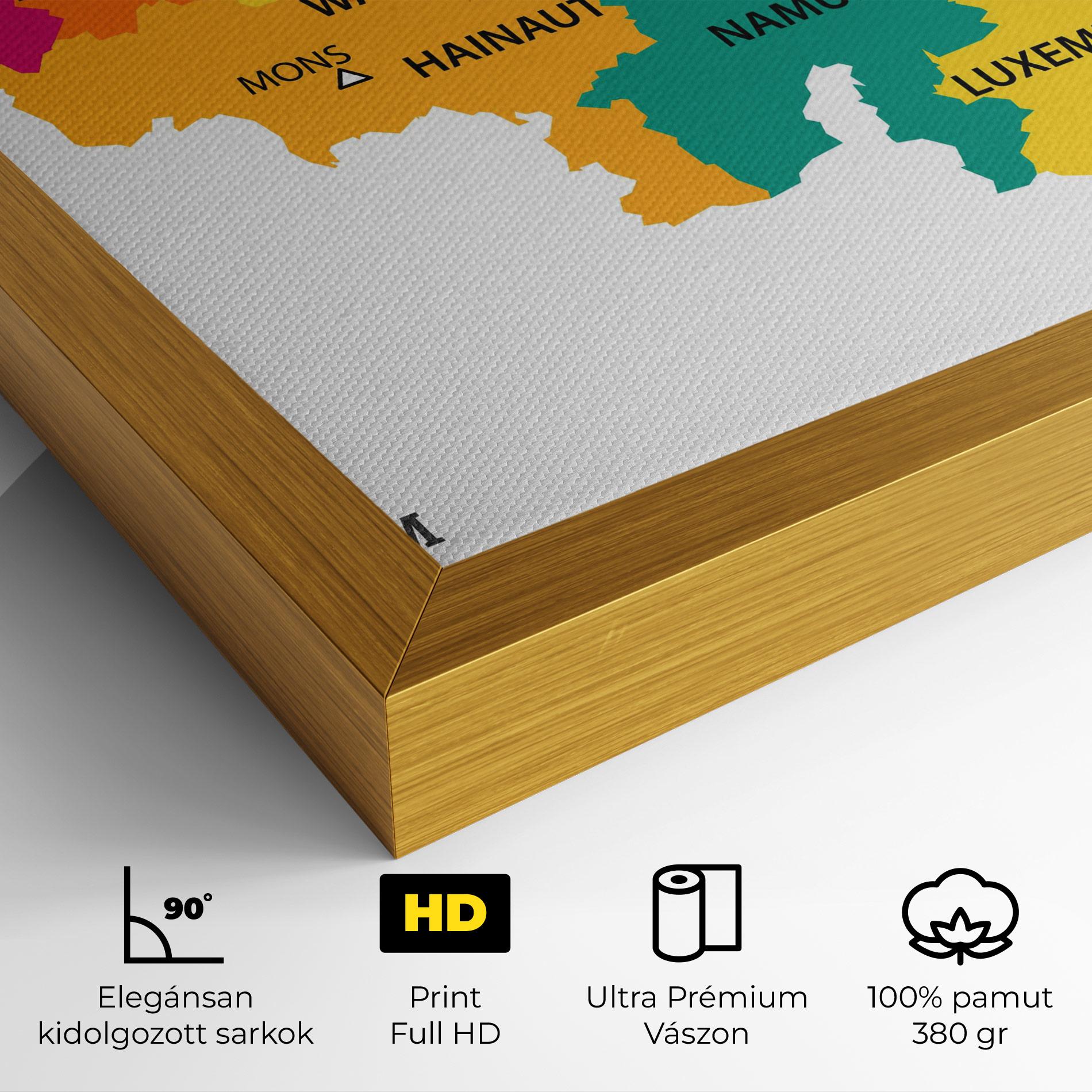 Vászonkép Belgium Color Map mockup 4