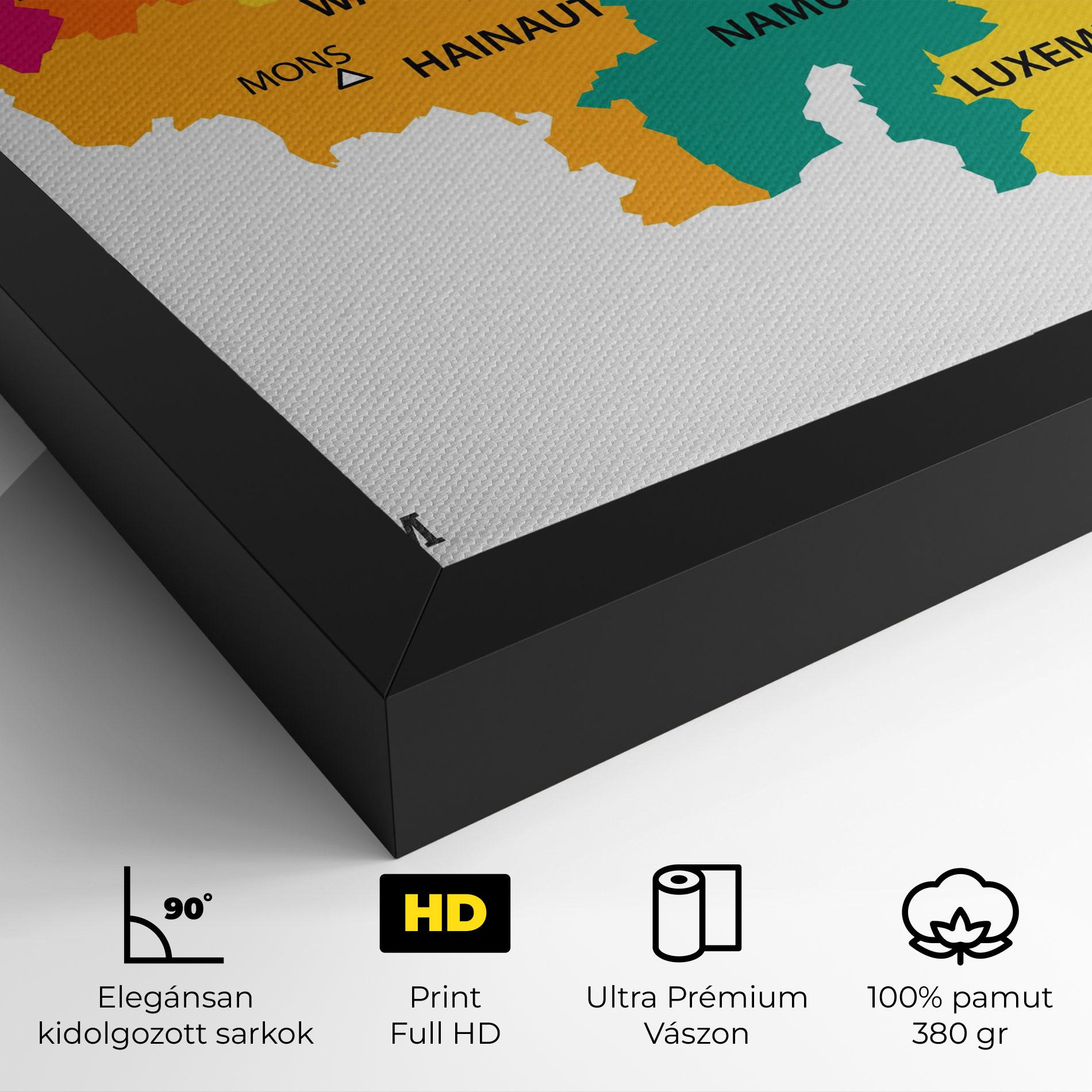 Vászonkép Belgium Color Map mockup 4