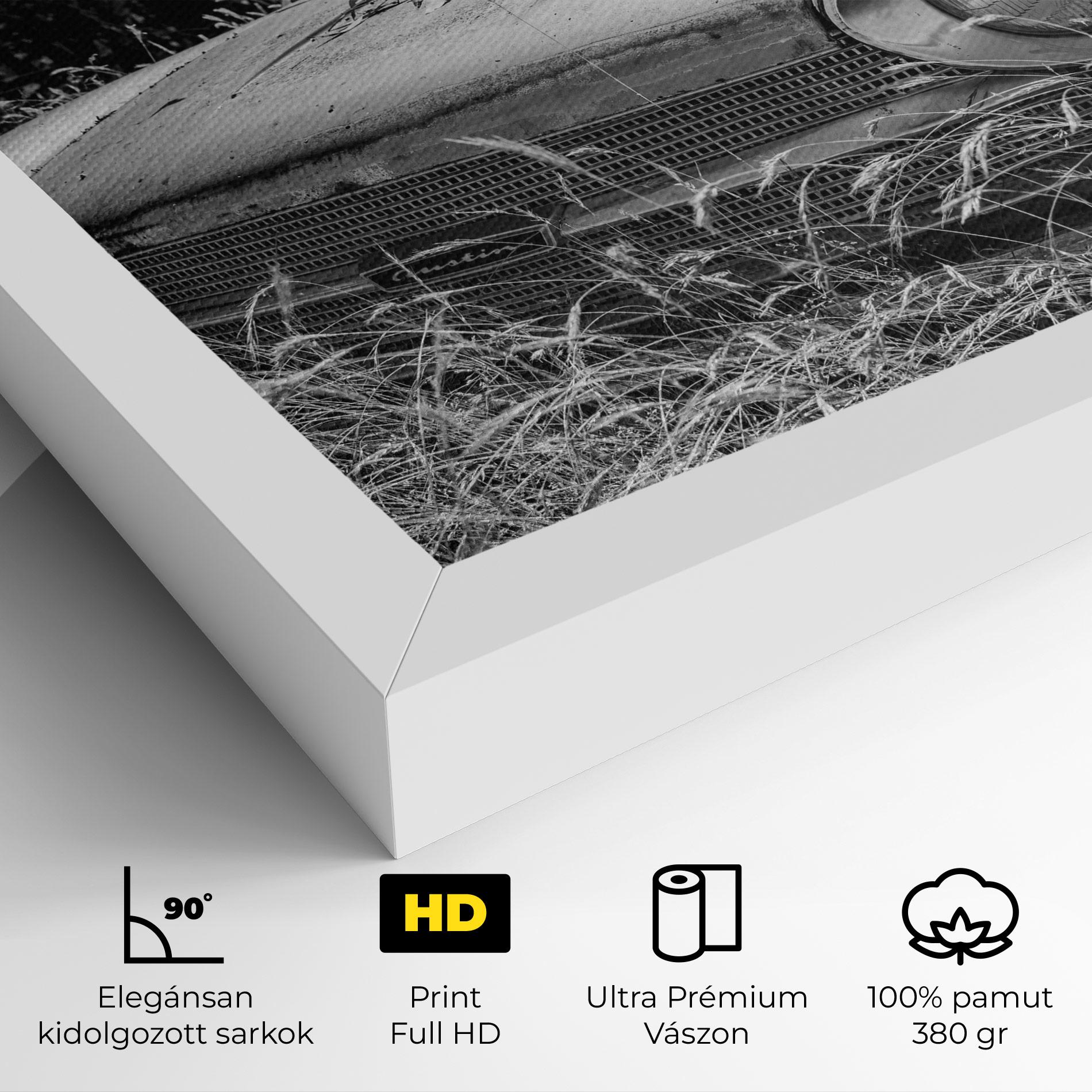 Vászonkép Old Field Car mockup 4