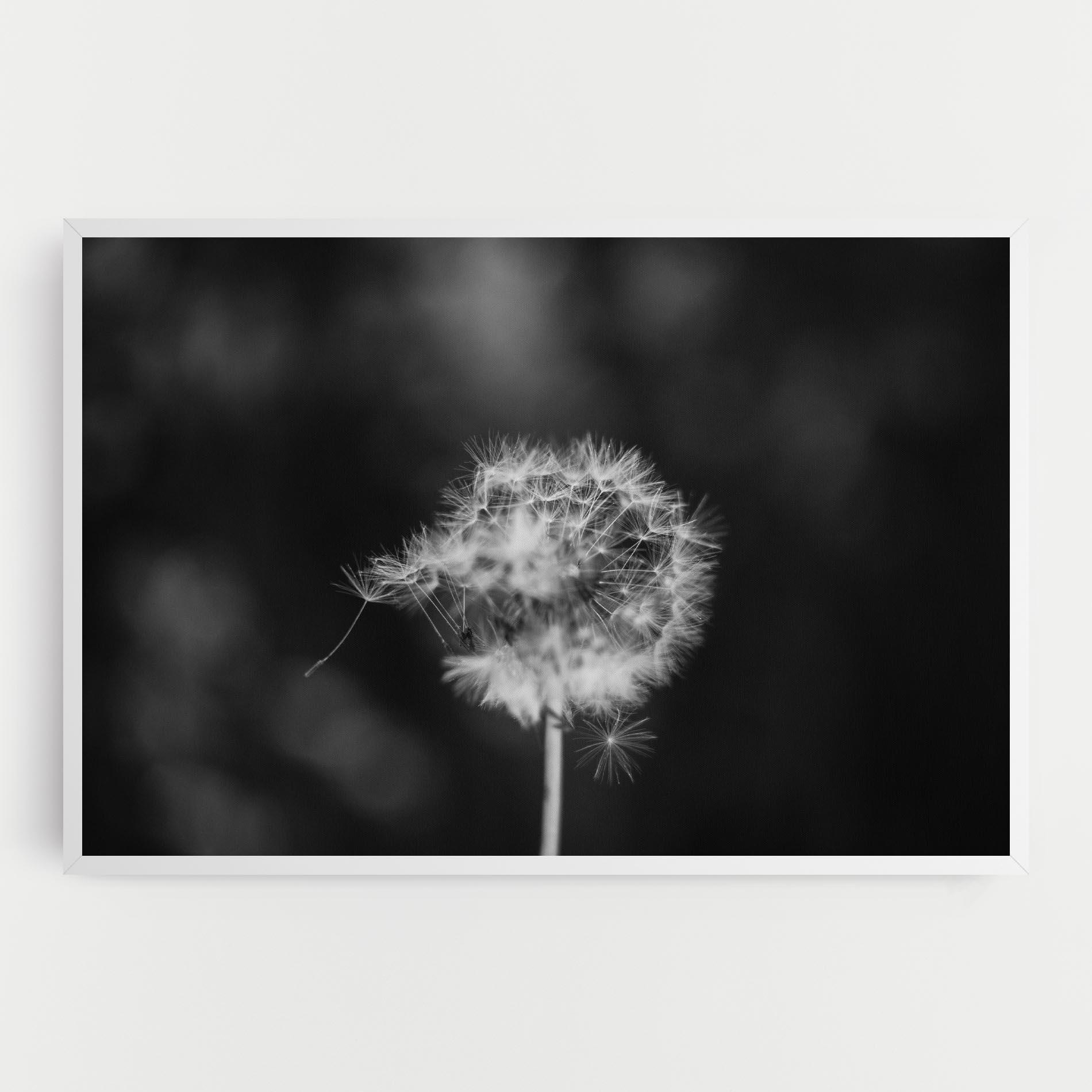 Vászonkép Grey Dandelion mockup 0