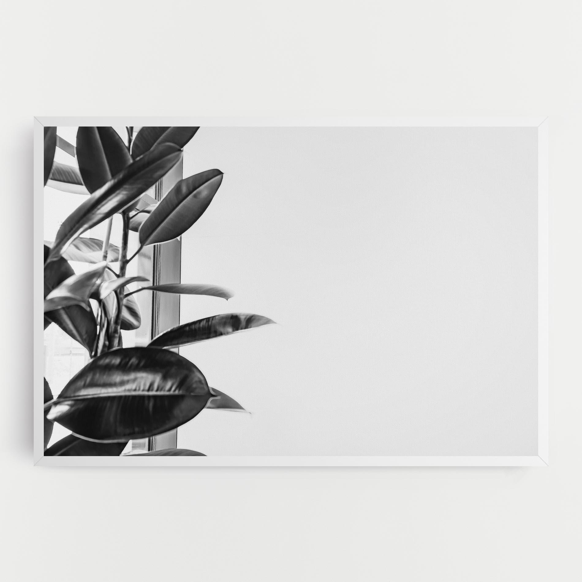 Vászonkép Grey Plant mockup 0