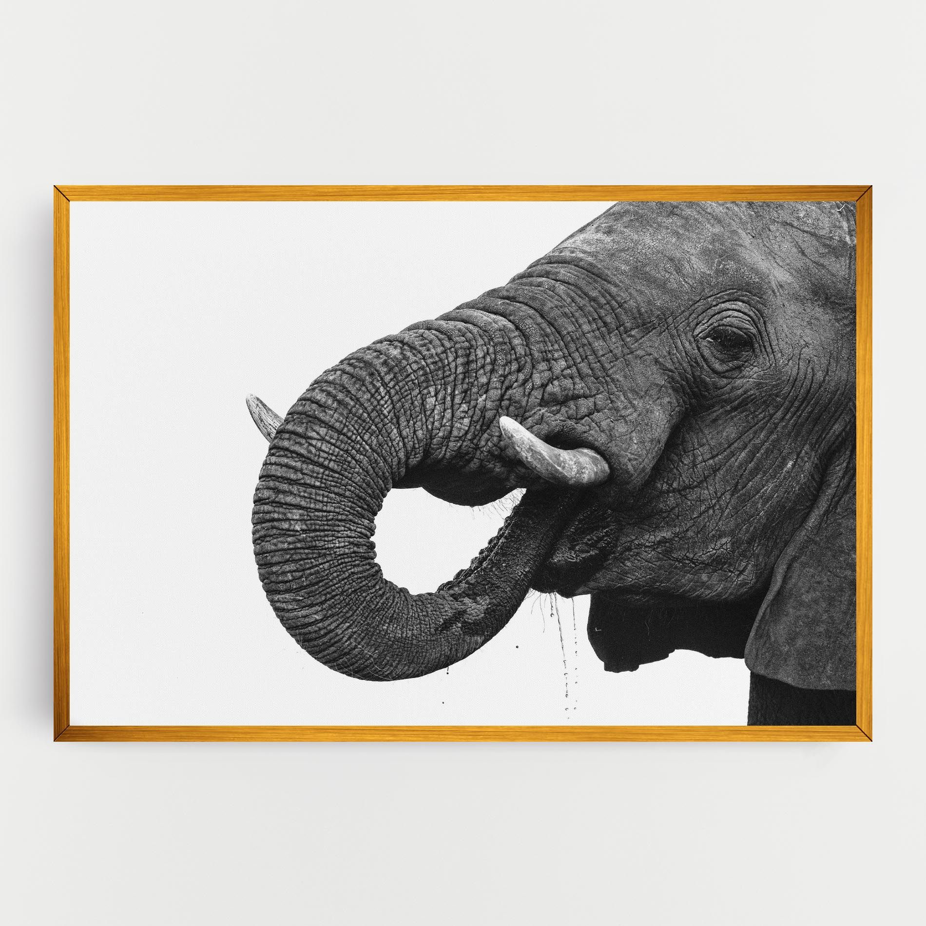 Elephant Drinking mockup 0