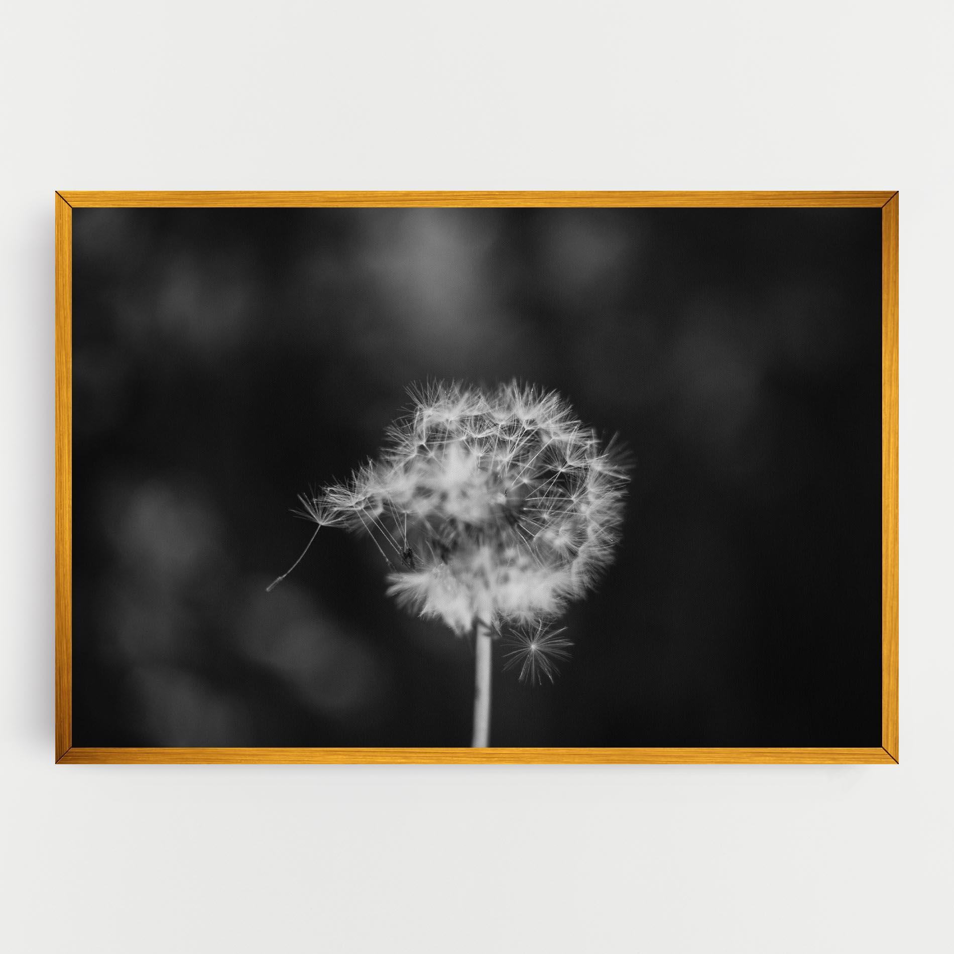 Vászonkép Grey Dandelion mockup 0