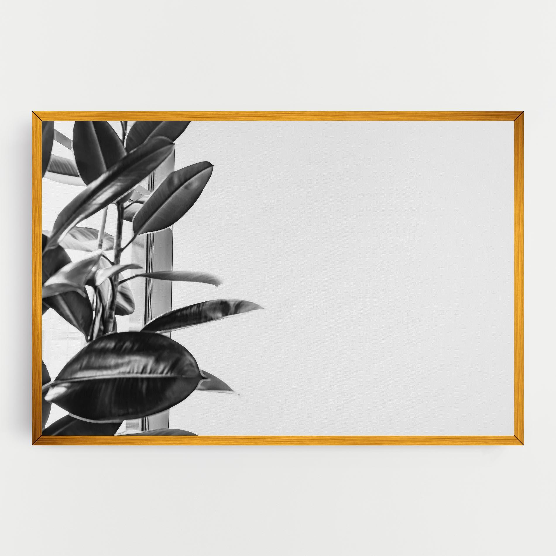 Vászonkép Grey Plant mockup 0