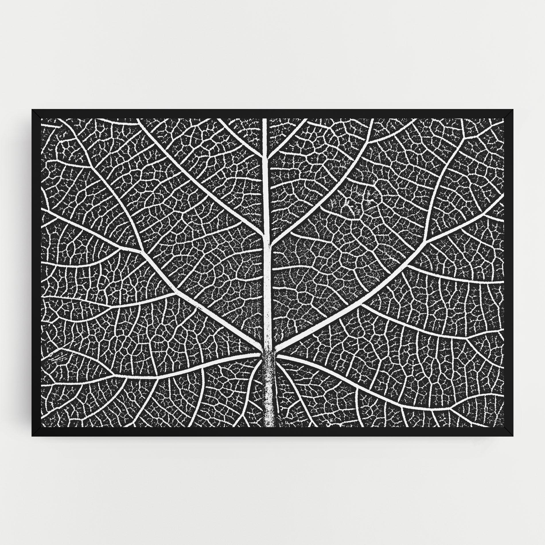 Vászonkép Close Grey Leaf mockup 0