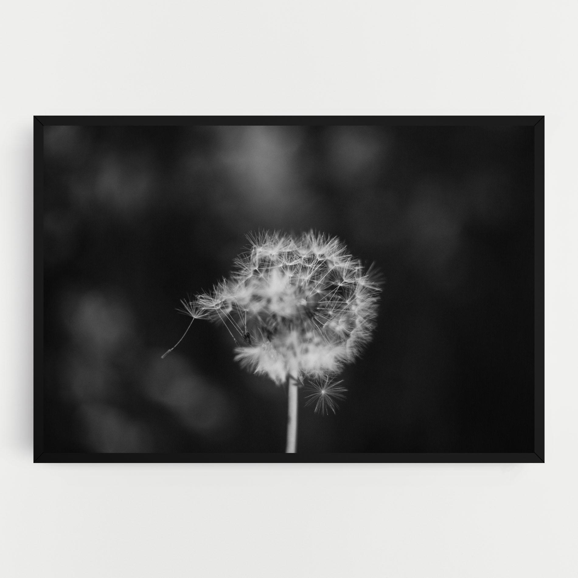 Vászonkép Grey Dandelion mockup 0