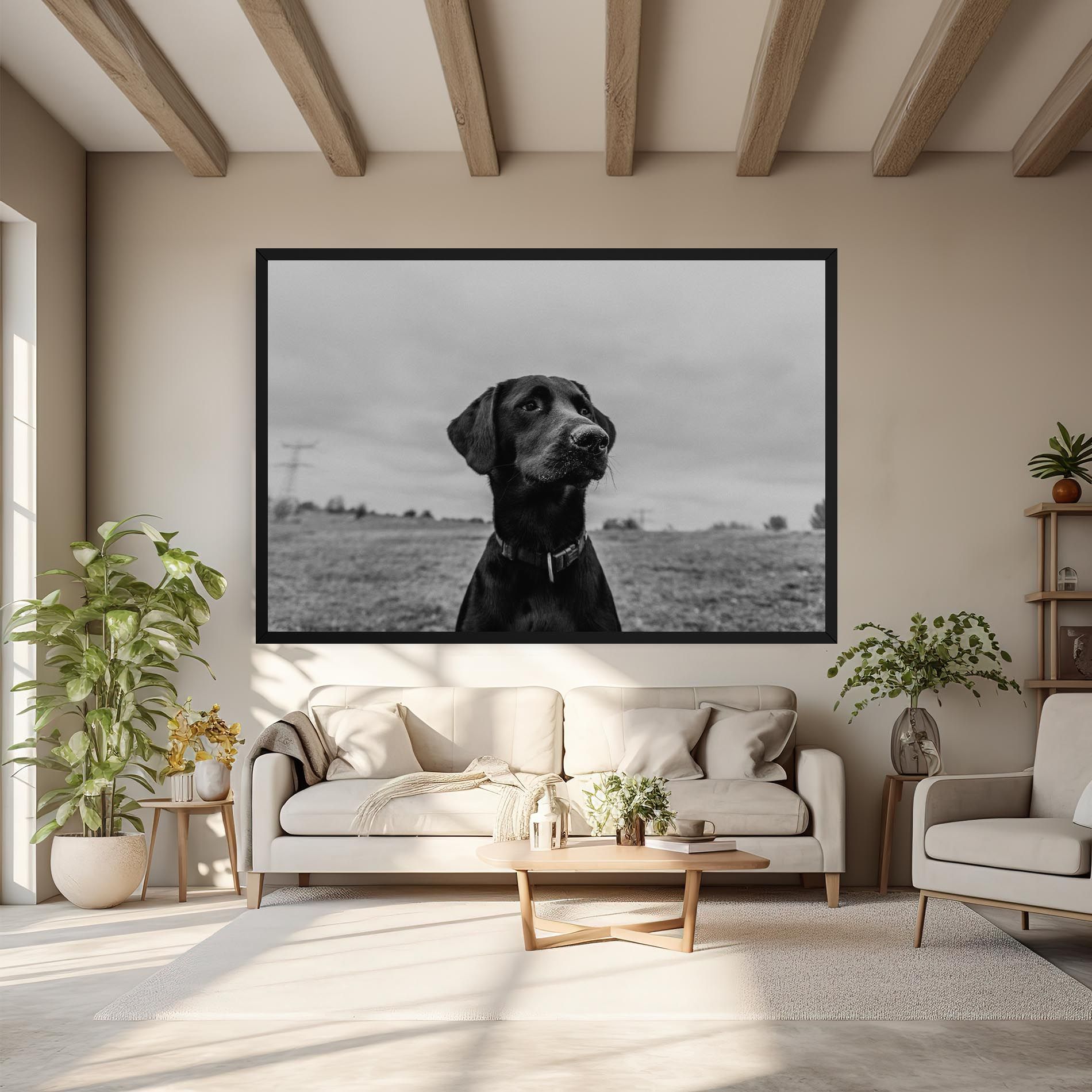 Black Dog mockup 6