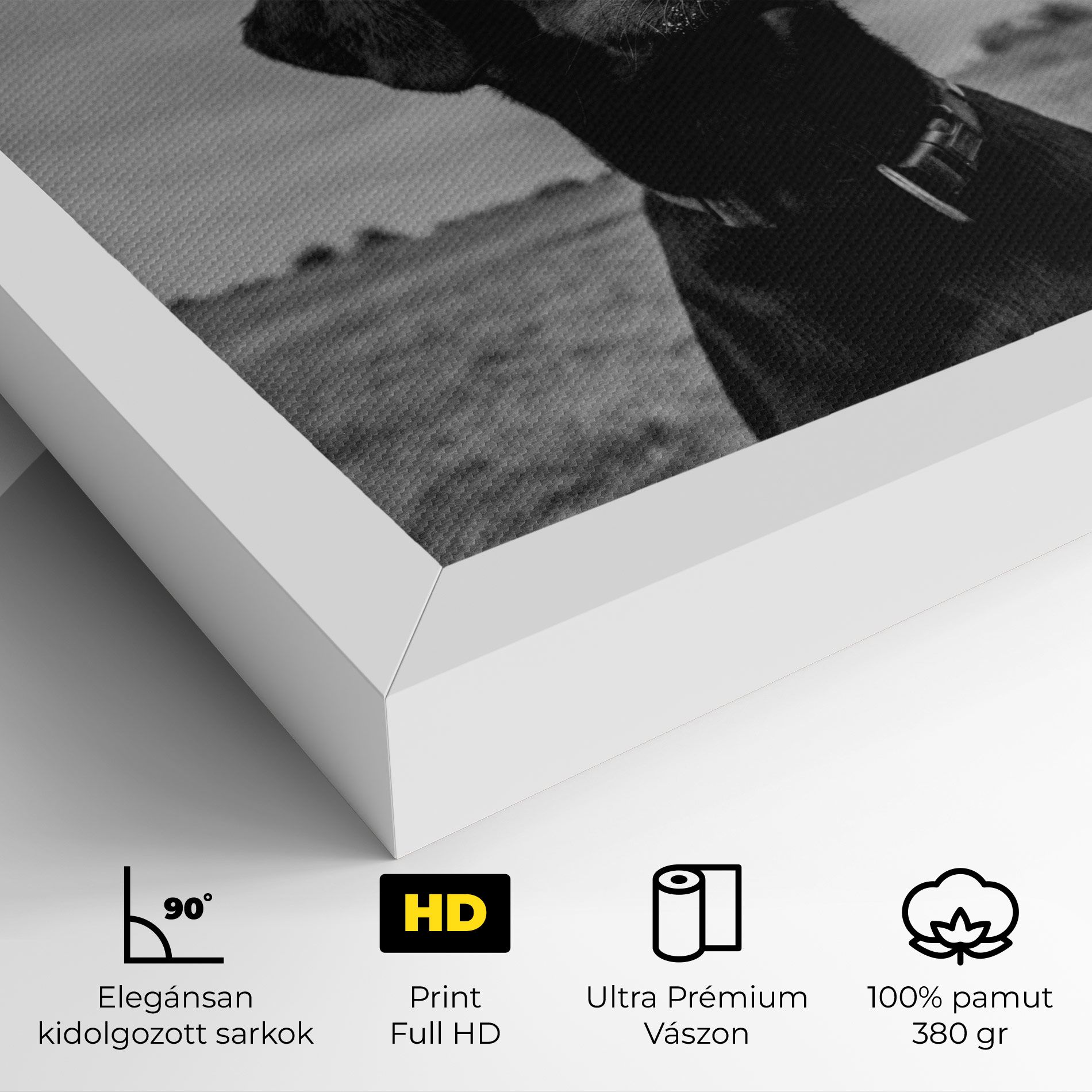 Black Dog mockup 4