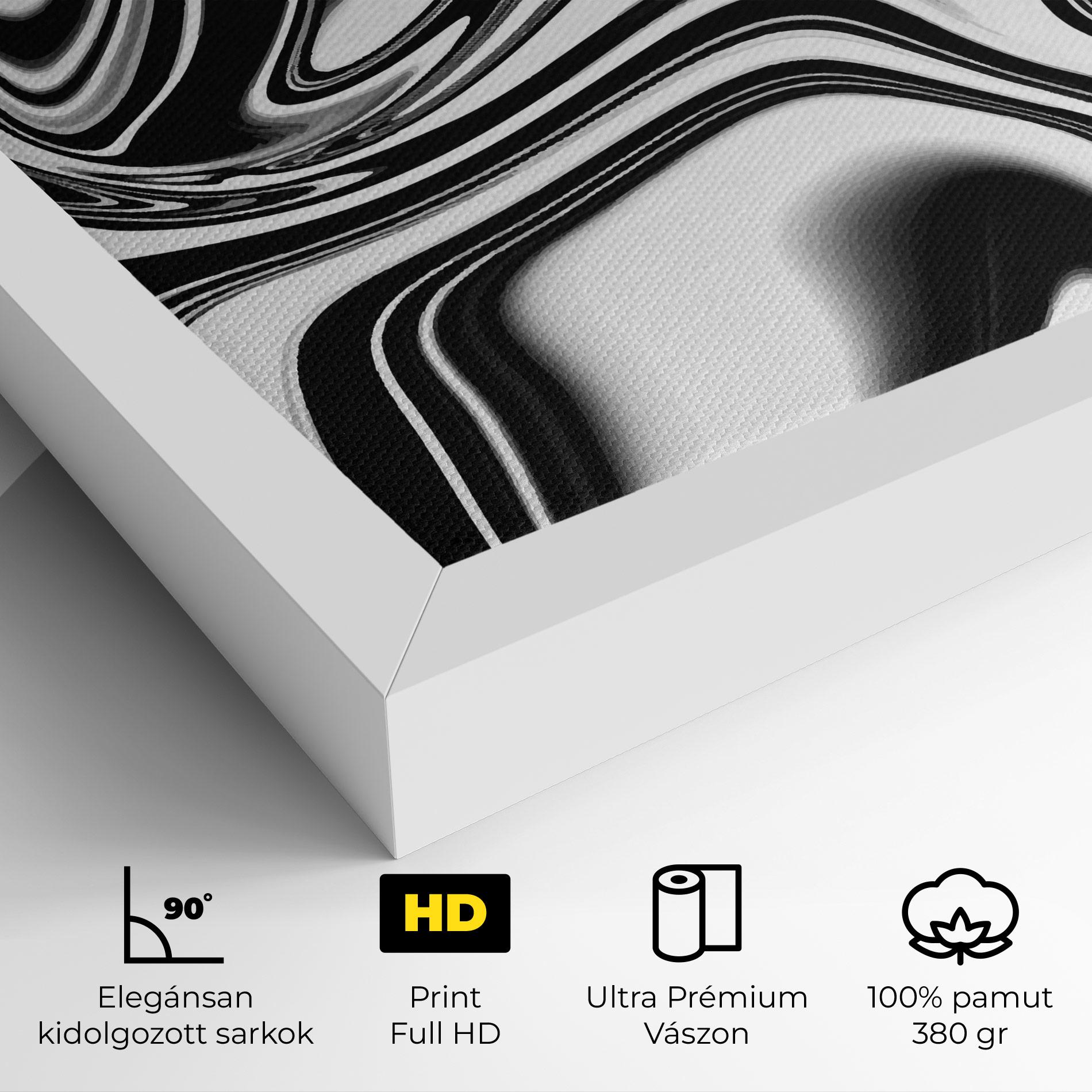 Vászonkép Black White Liquid mockup 4