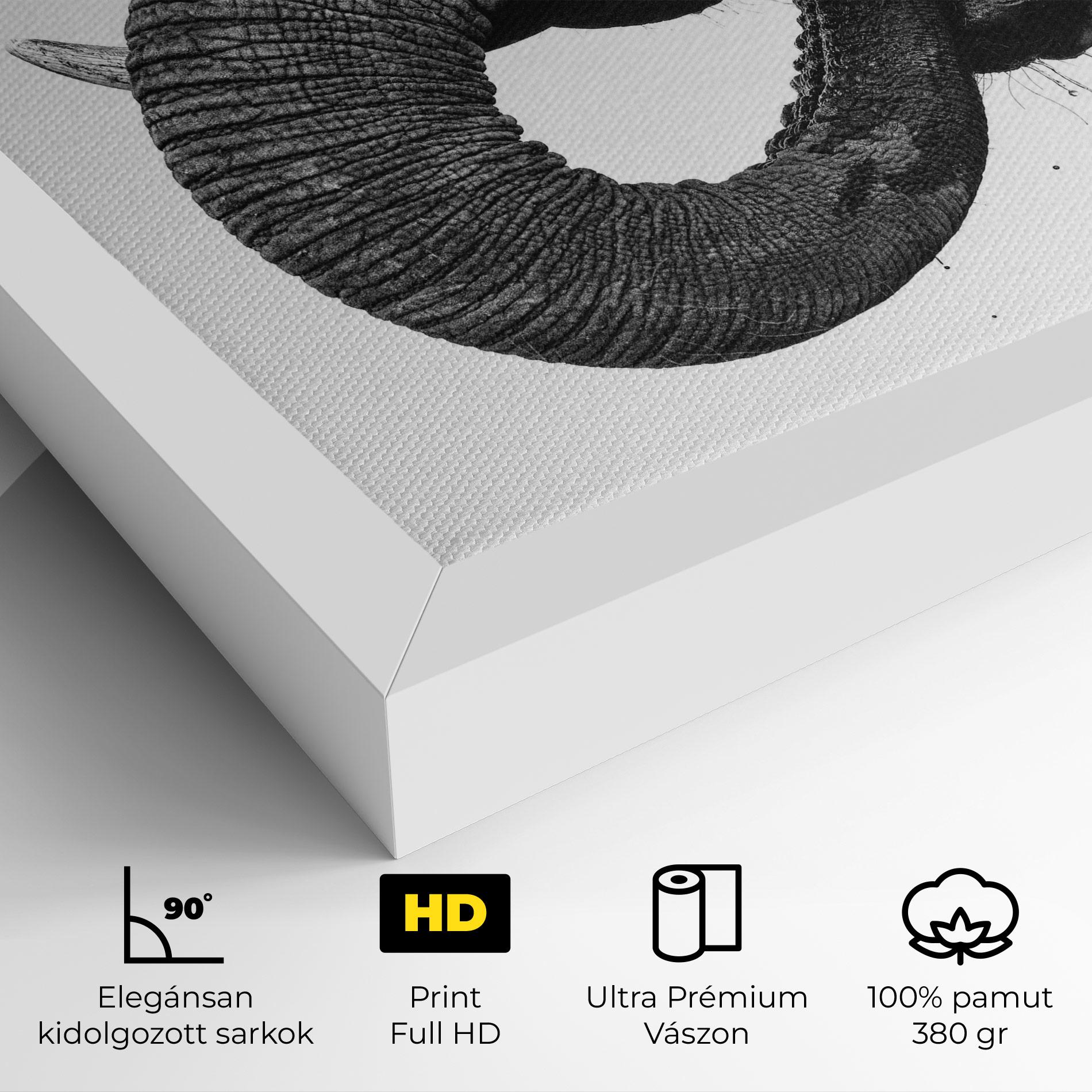 Vászonkép Elephant Drinking mockup 4