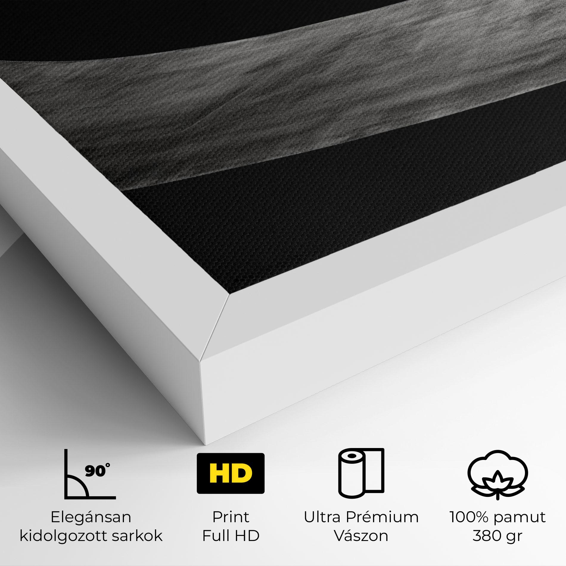 Vászonkép Man Walking mockup 4