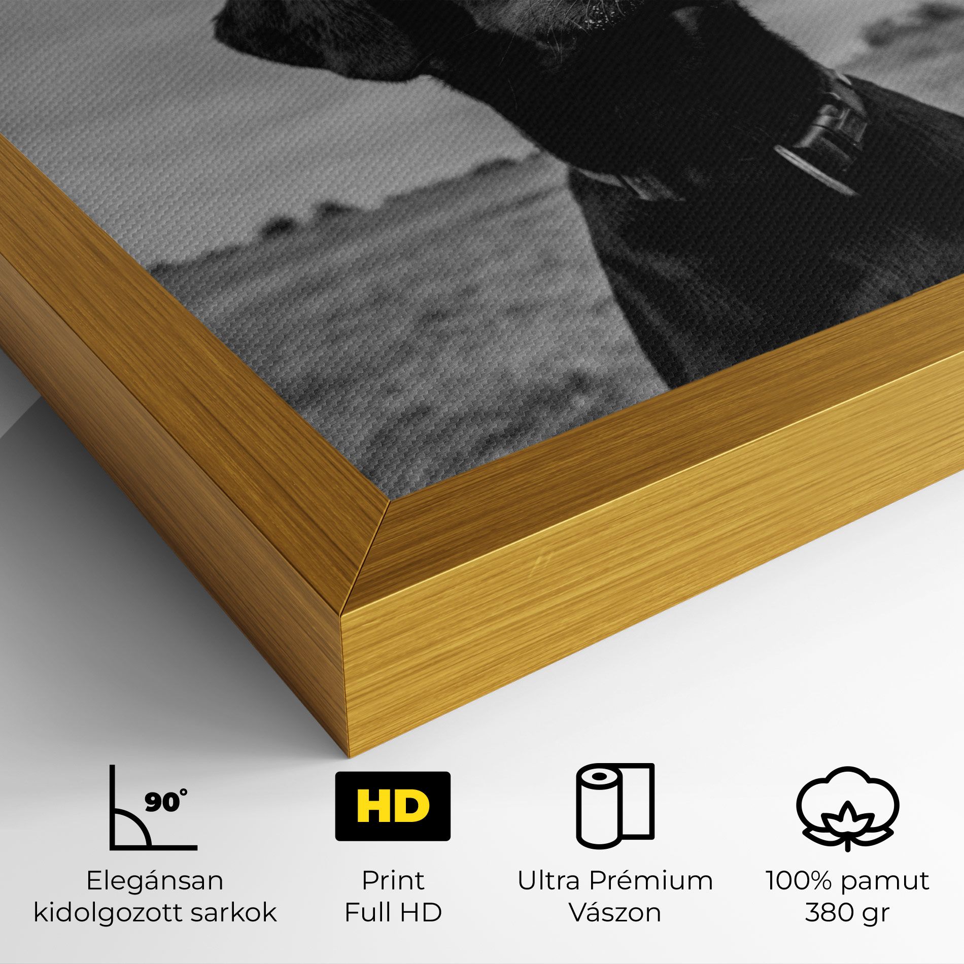 Black Dog mockup 4