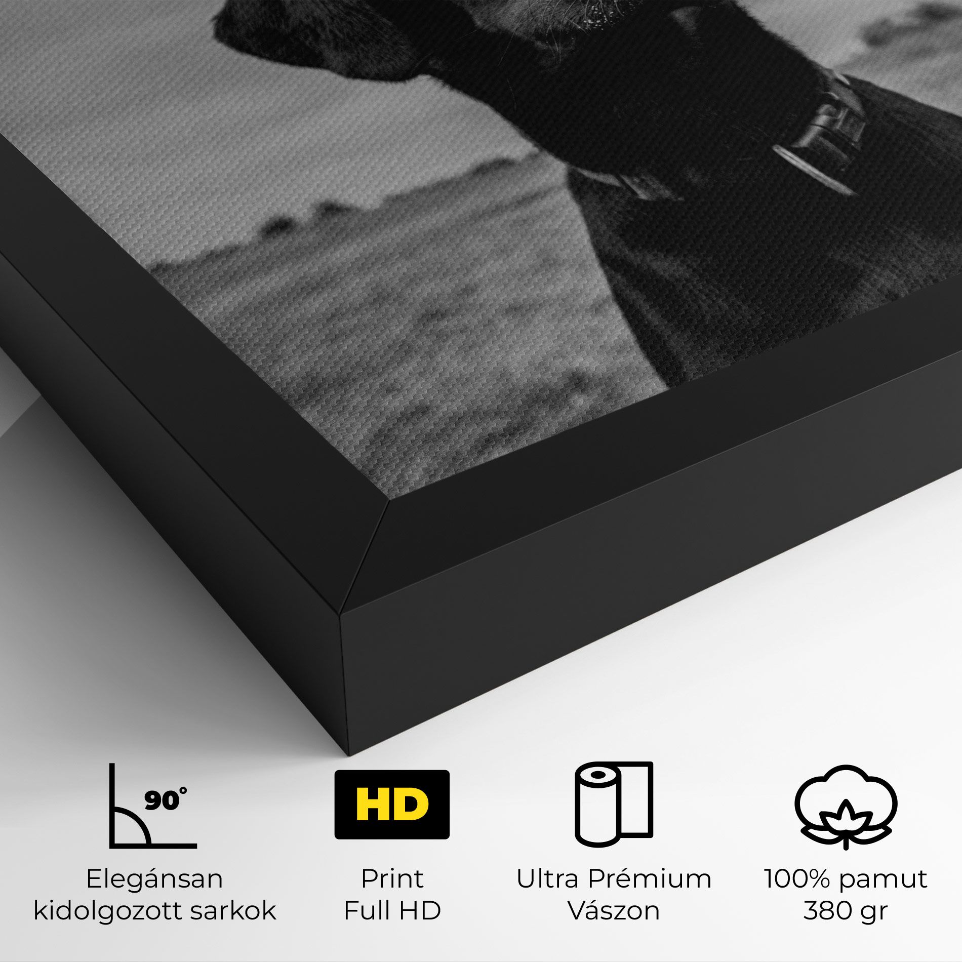 Black Dog mockup 4
