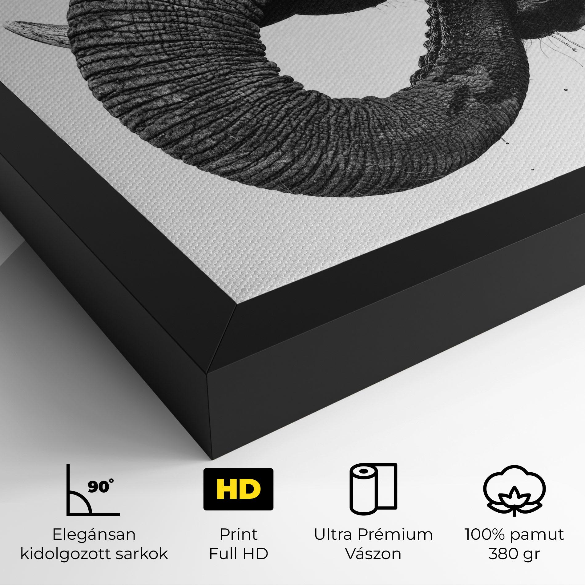 Vászonkép Elephant Drinking mockup 4