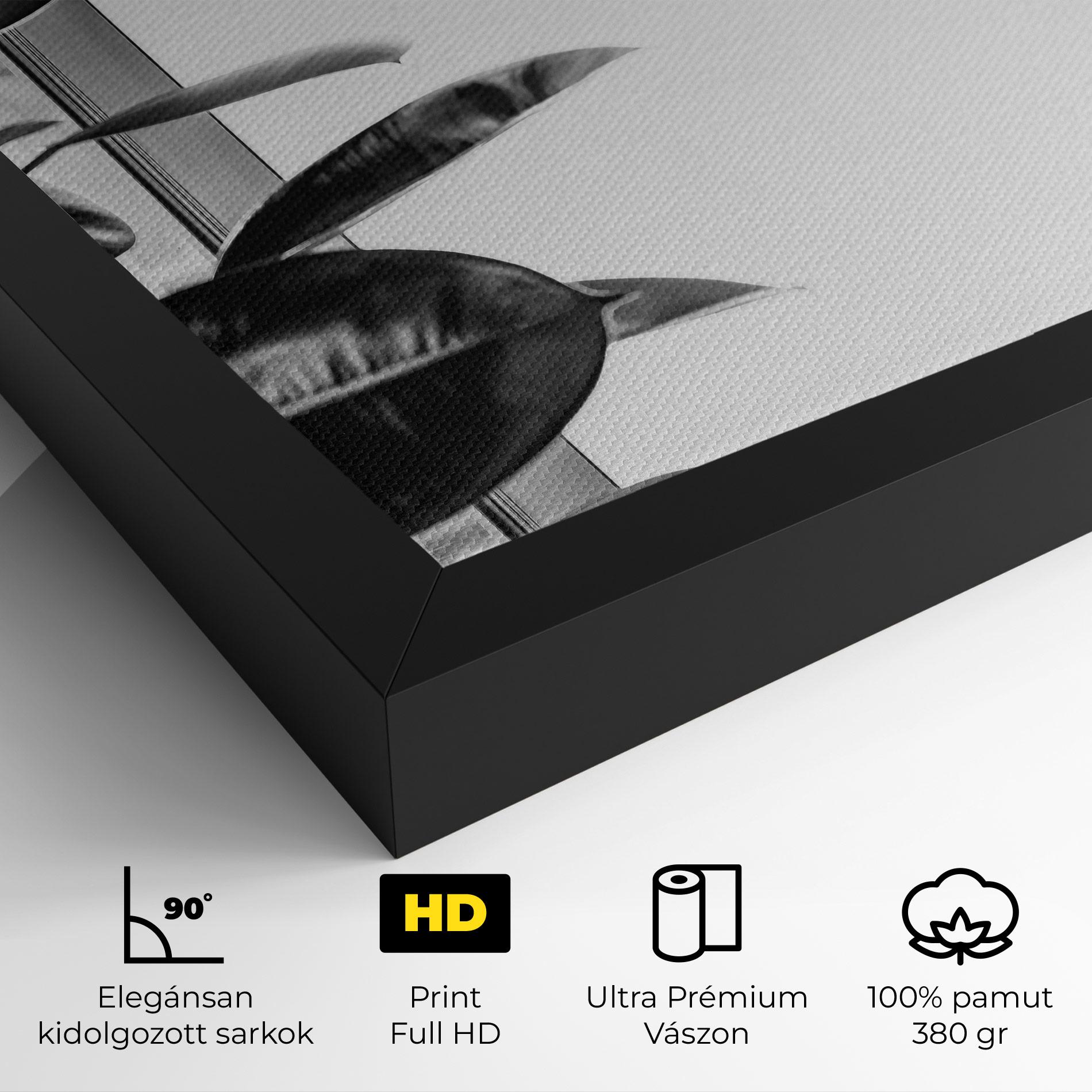 Vászonkép Grey Plant mockup 4