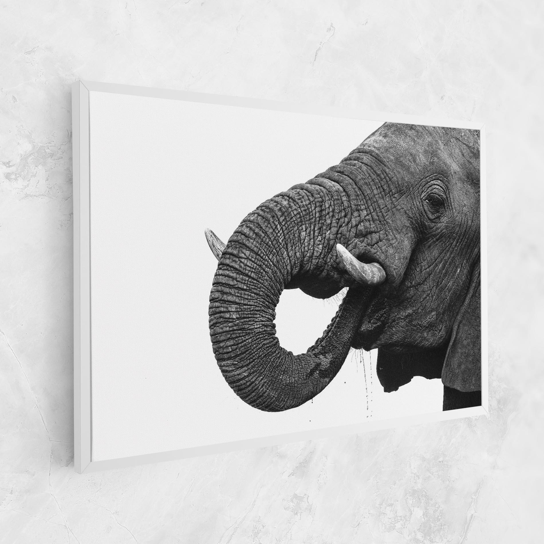 Vászonkép Elephant Drinking mockup 1
