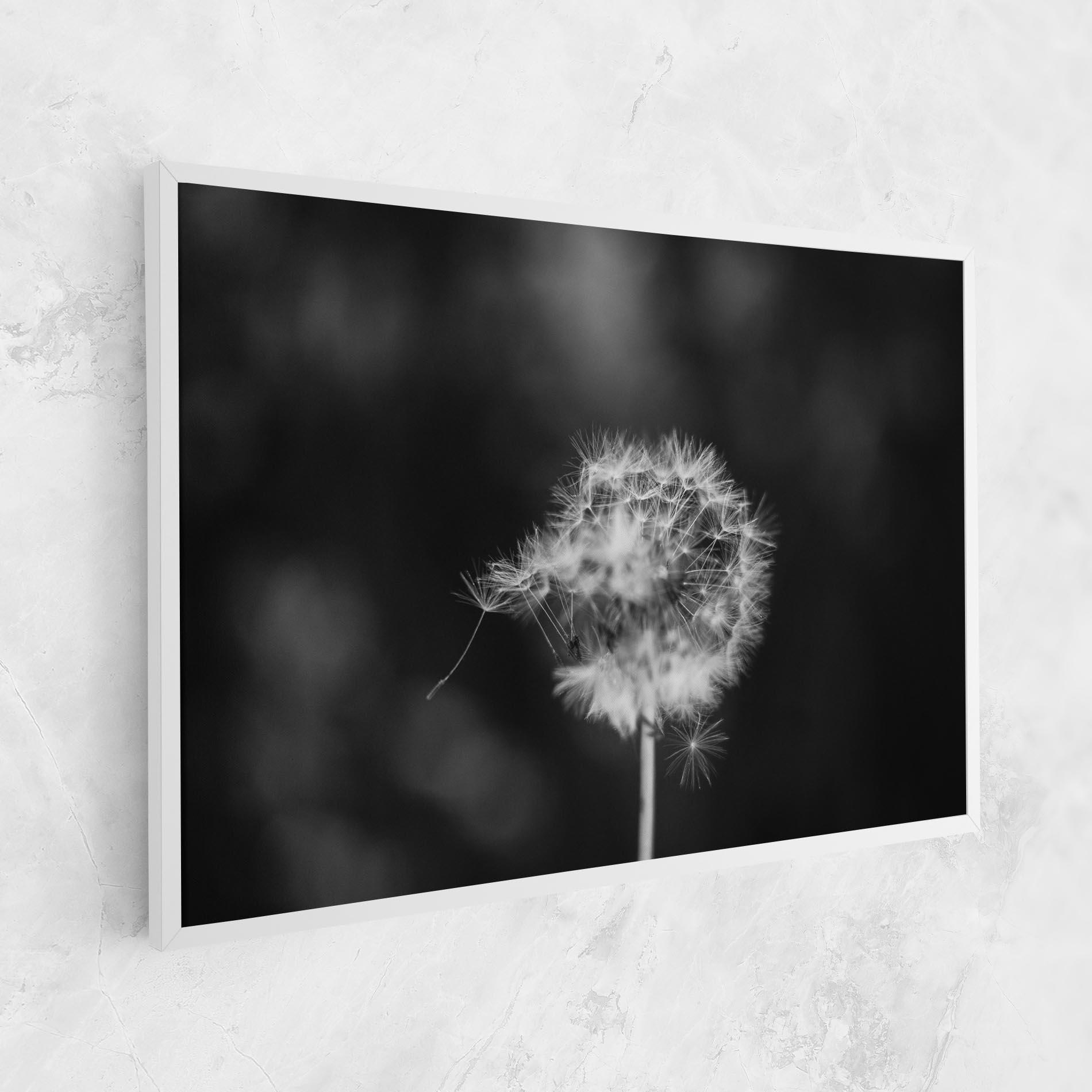 Vászonkép Grey Dandelion mockup 1