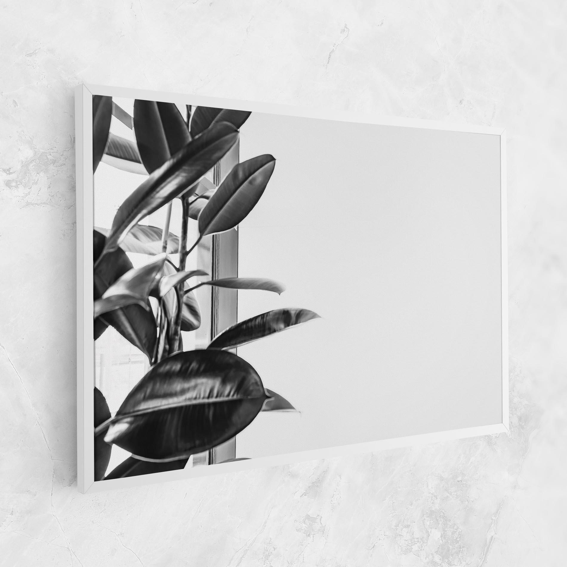 Vászonkép Grey Plant mockup 1