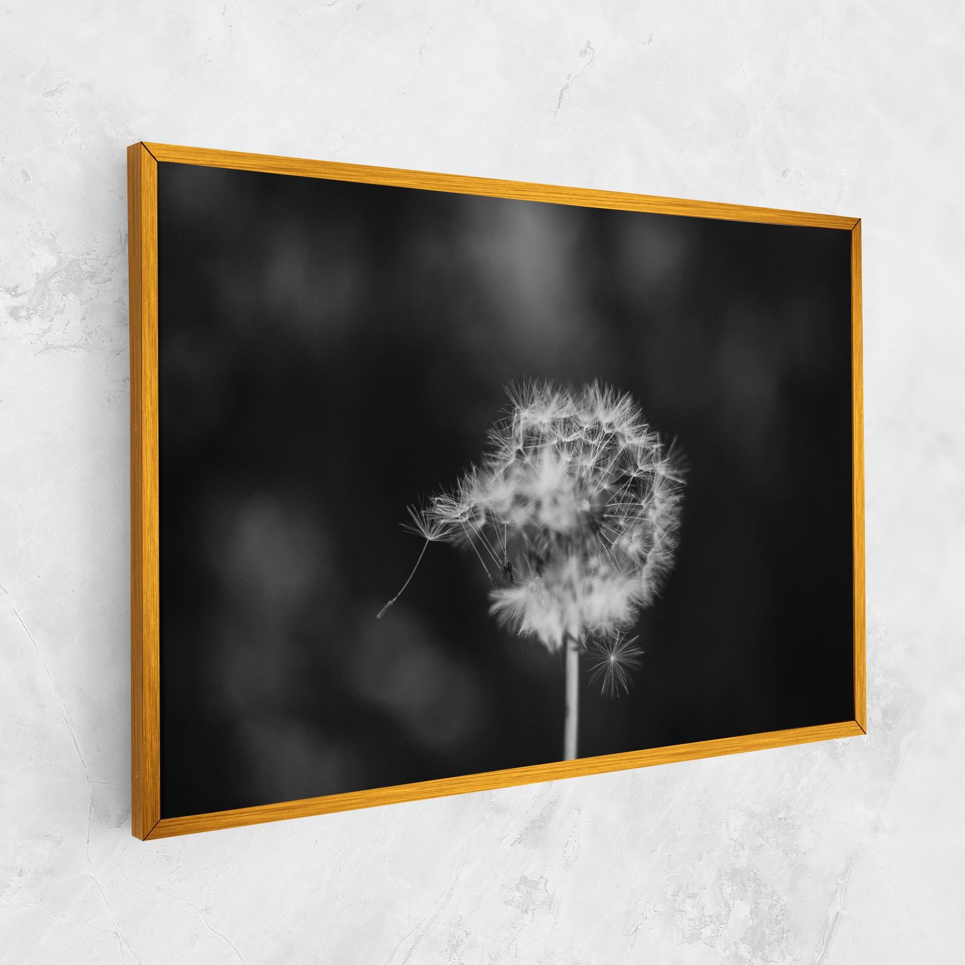 Vászonkép Grey Dandelion mockup 1