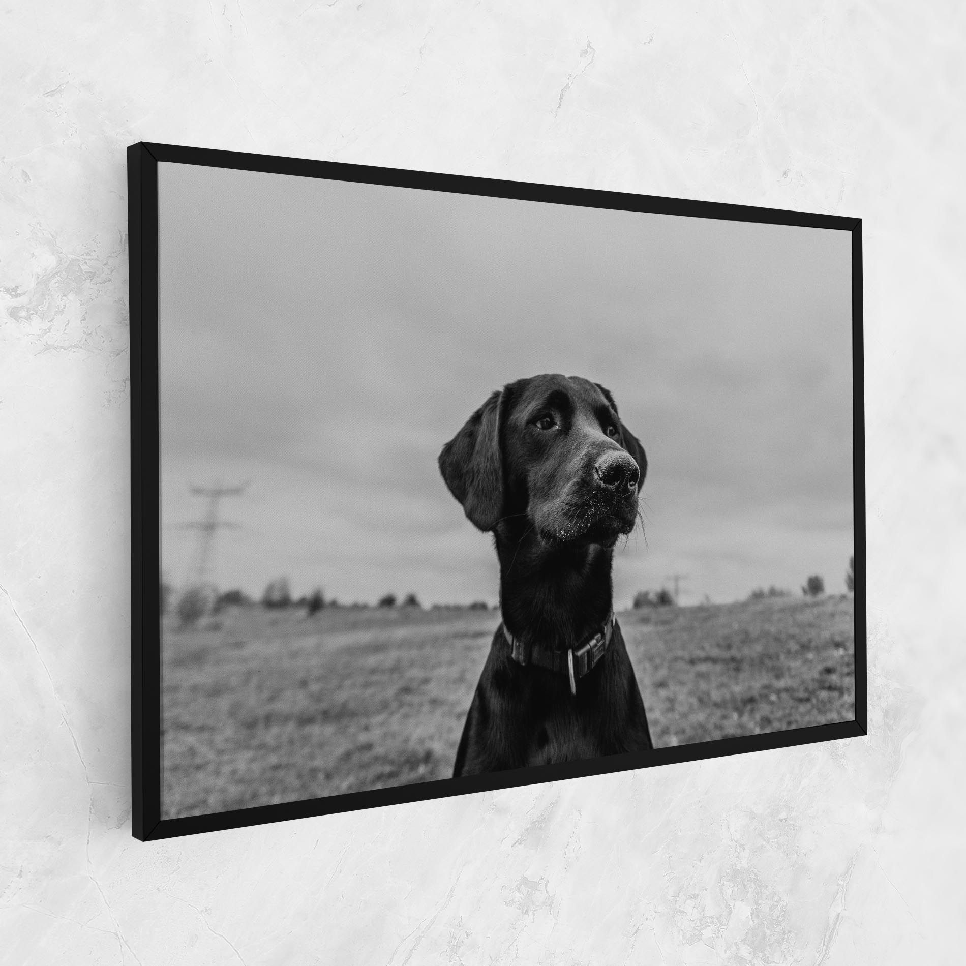 Black Dog mockup 1