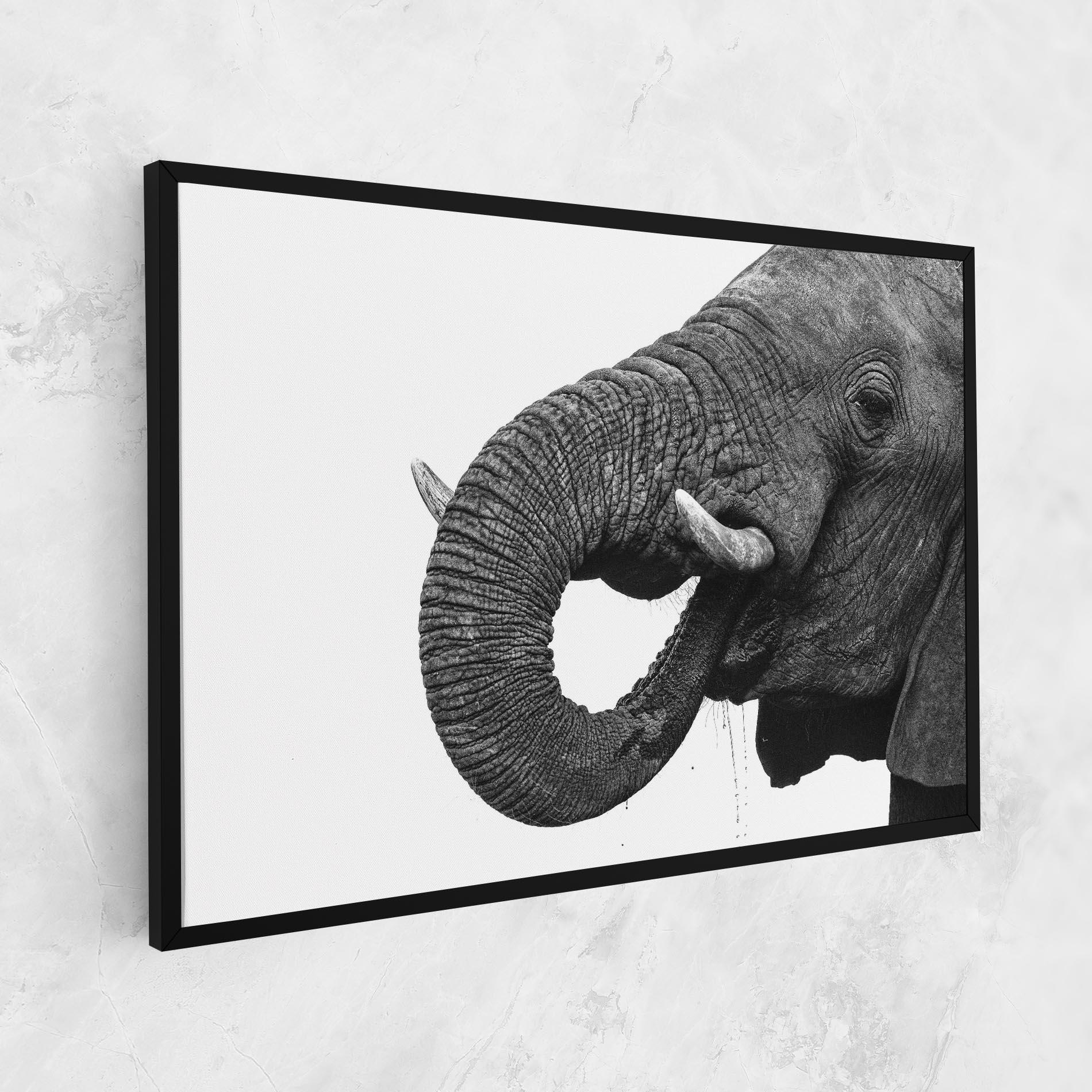 Vászonkép Elephant Drinking mockup 1