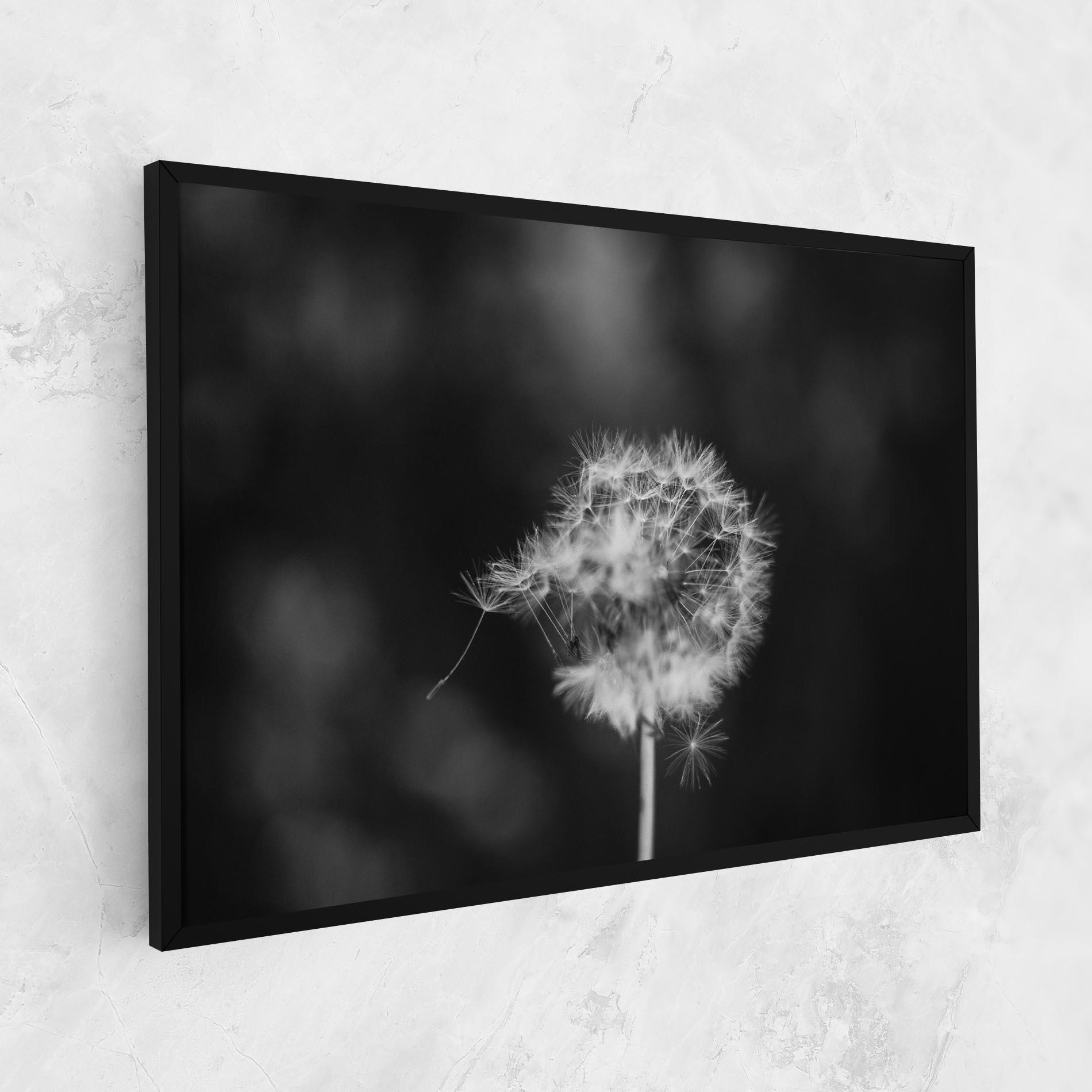 Vászonkép Grey Dandelion mockup 1