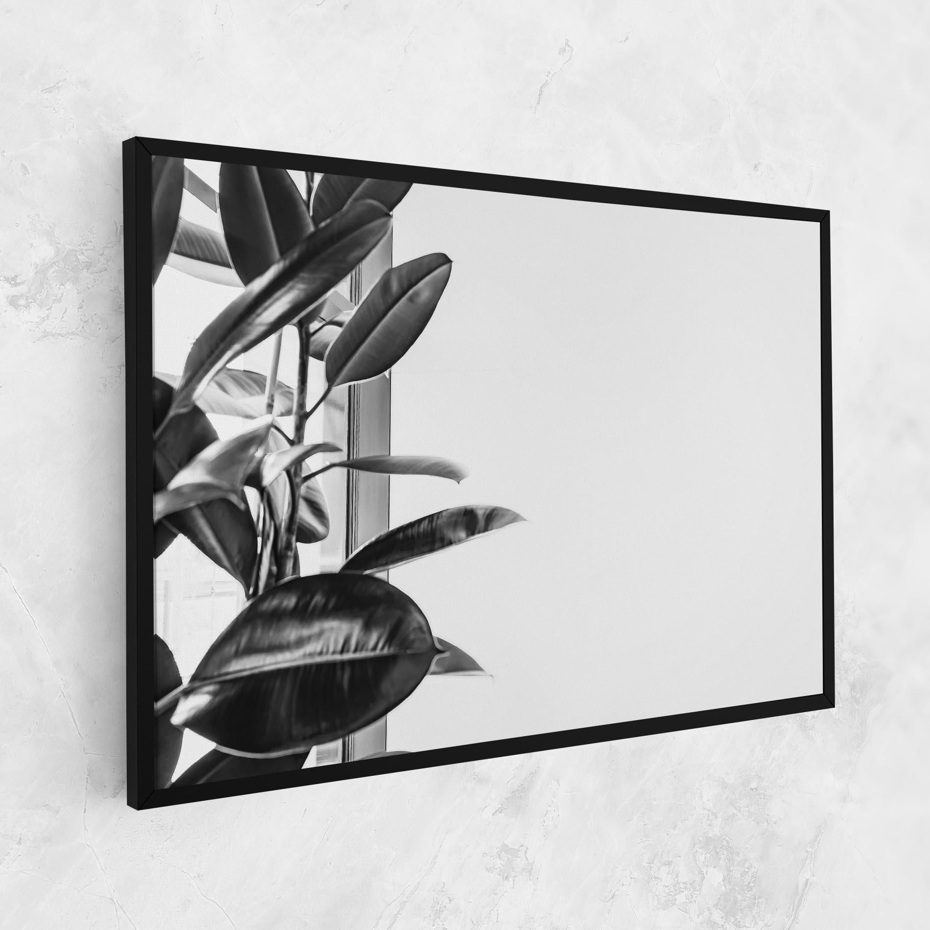 Vászonkép Grey Plant mockup 1