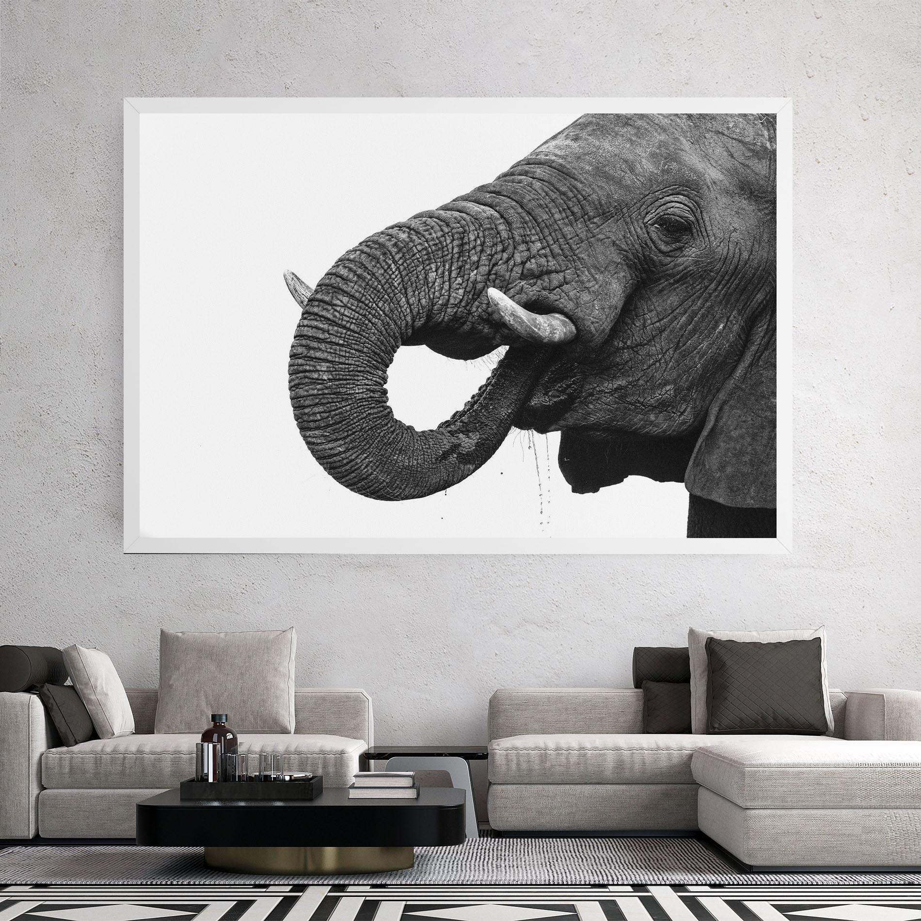 Vászonkép Elephant Drinking mockup 2