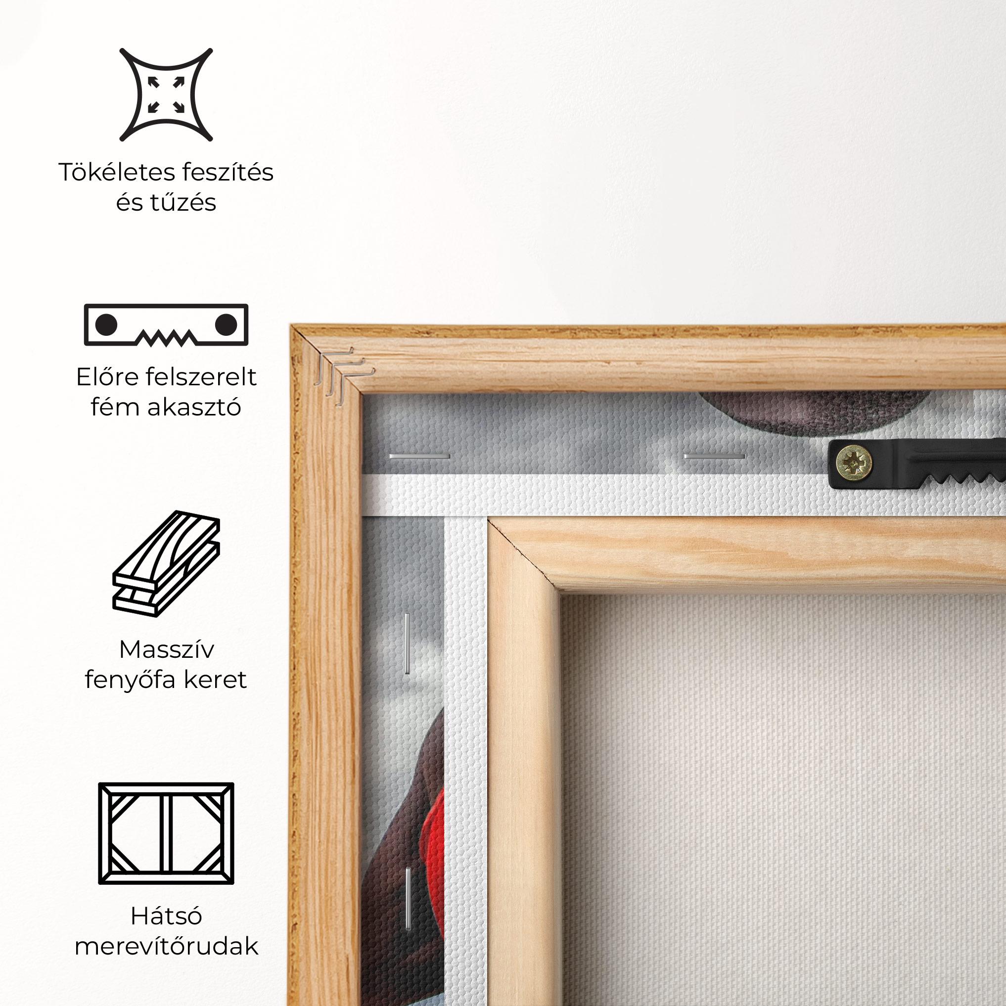 Vászonkép Red African Clothes mockup 5