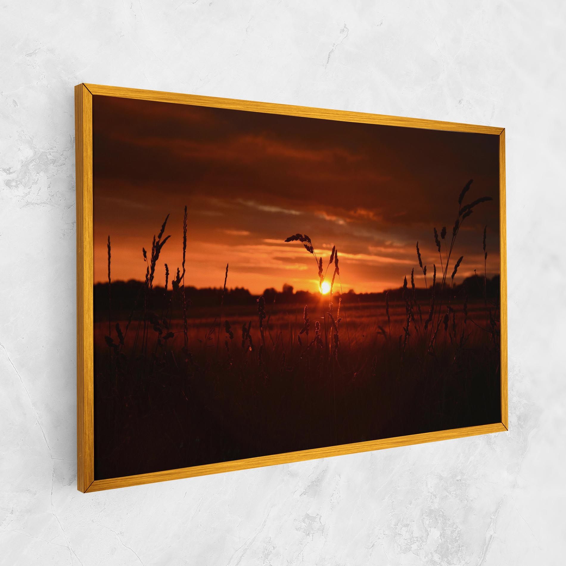 Field Shilouette mockup 1