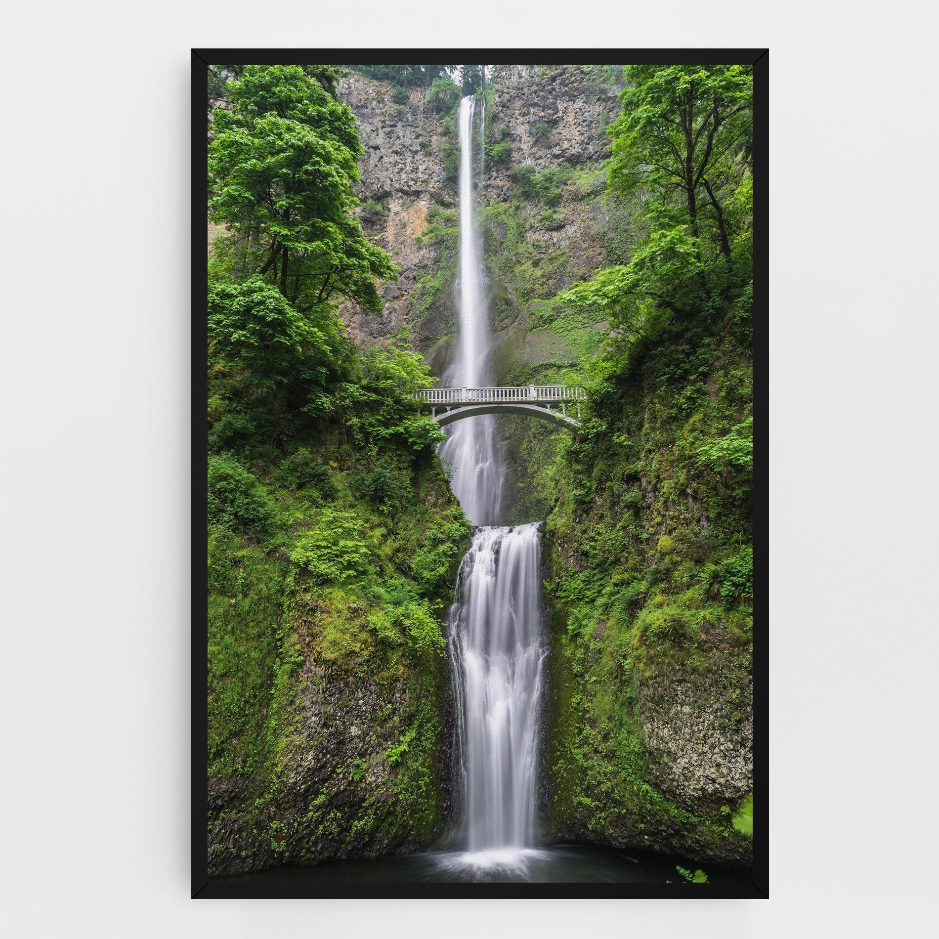 Green Leaves Bridge View mockup 0