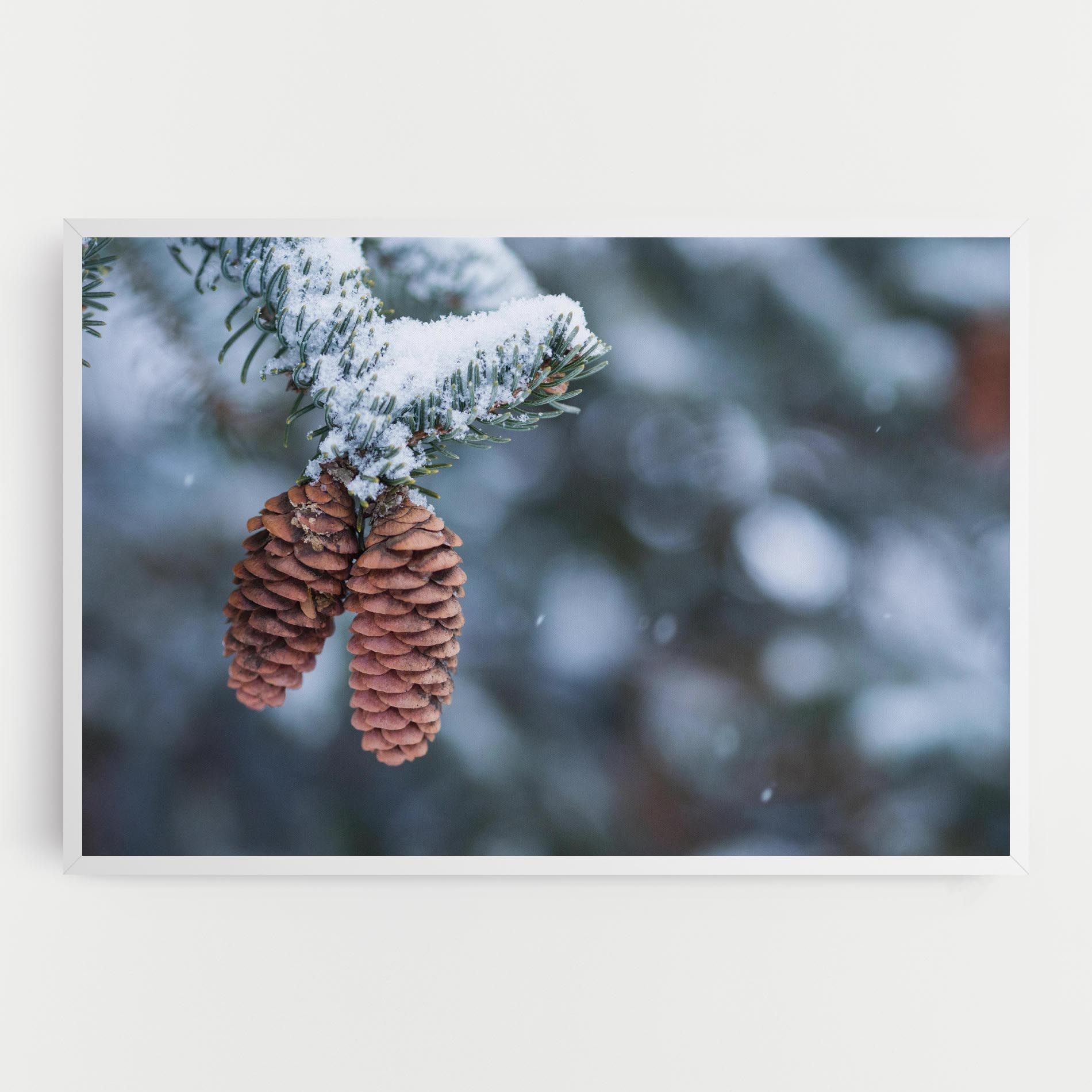 Winter Cones mockup 0