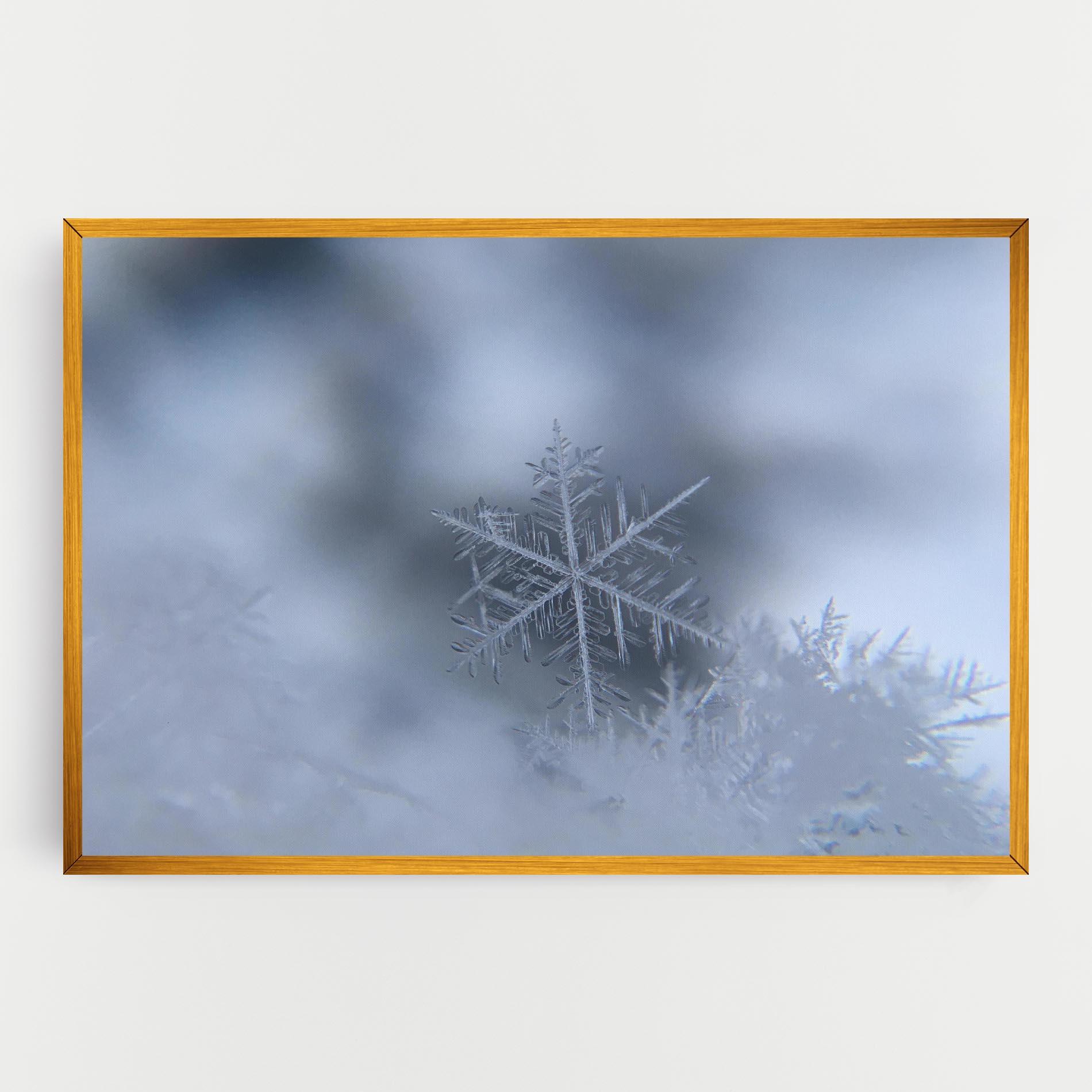 Vászonkép Pretty Snowflake mockup 0