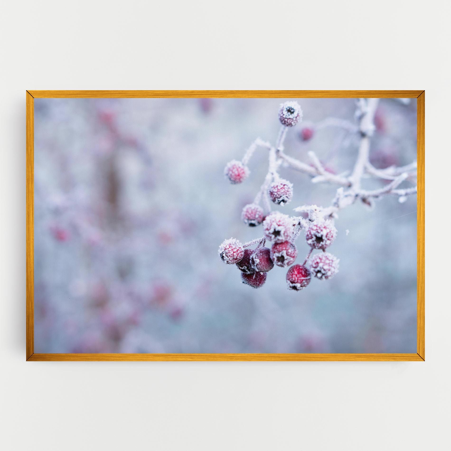 Red Winter Fruits mockup 0