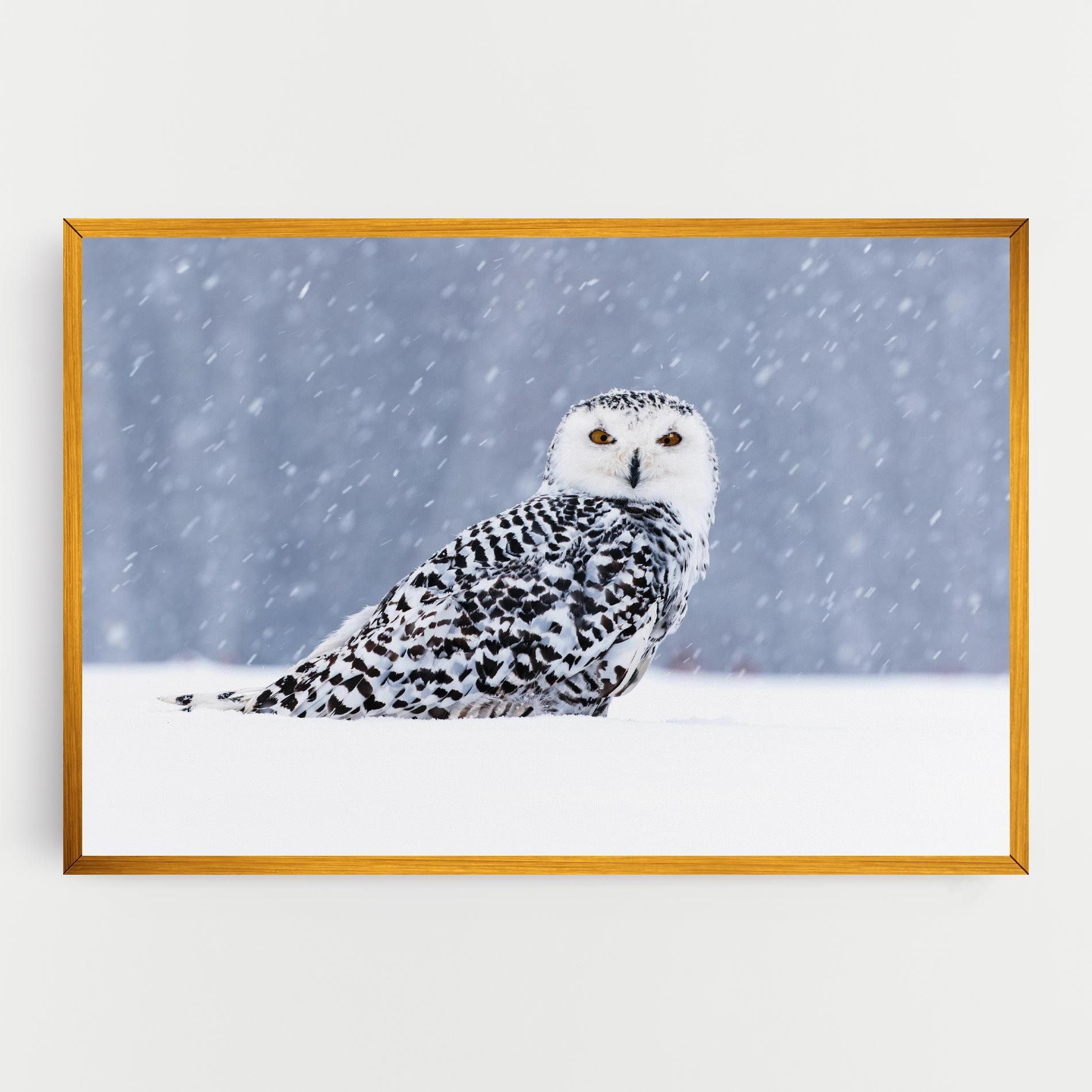 Snow Owl mockup 0