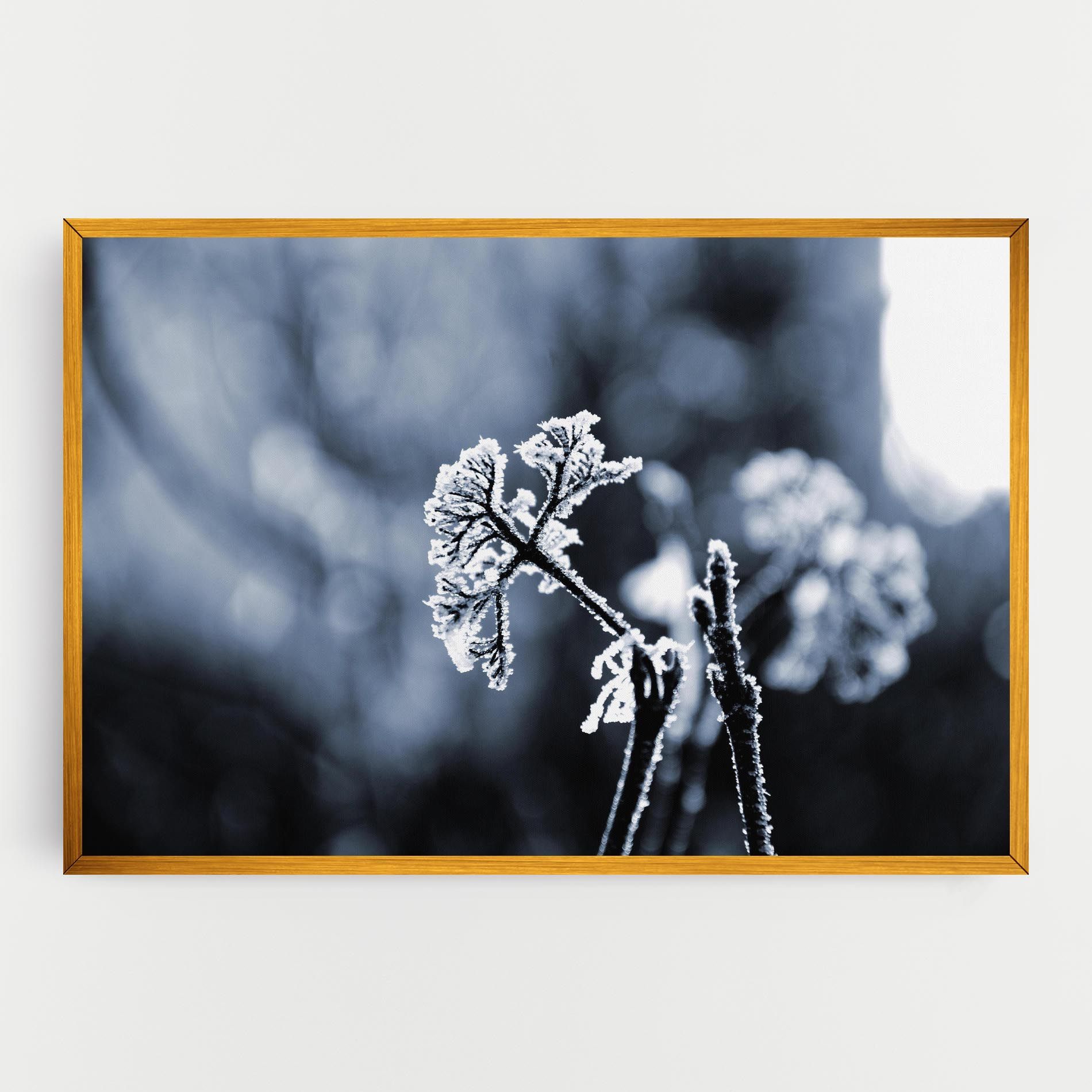 Winter Plant mockup 0