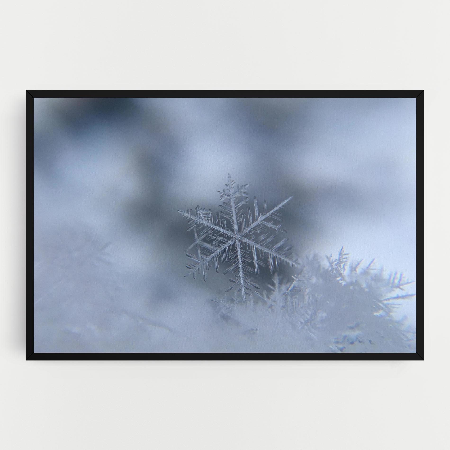 Vászonkép Pretty Snowflake mockup 0