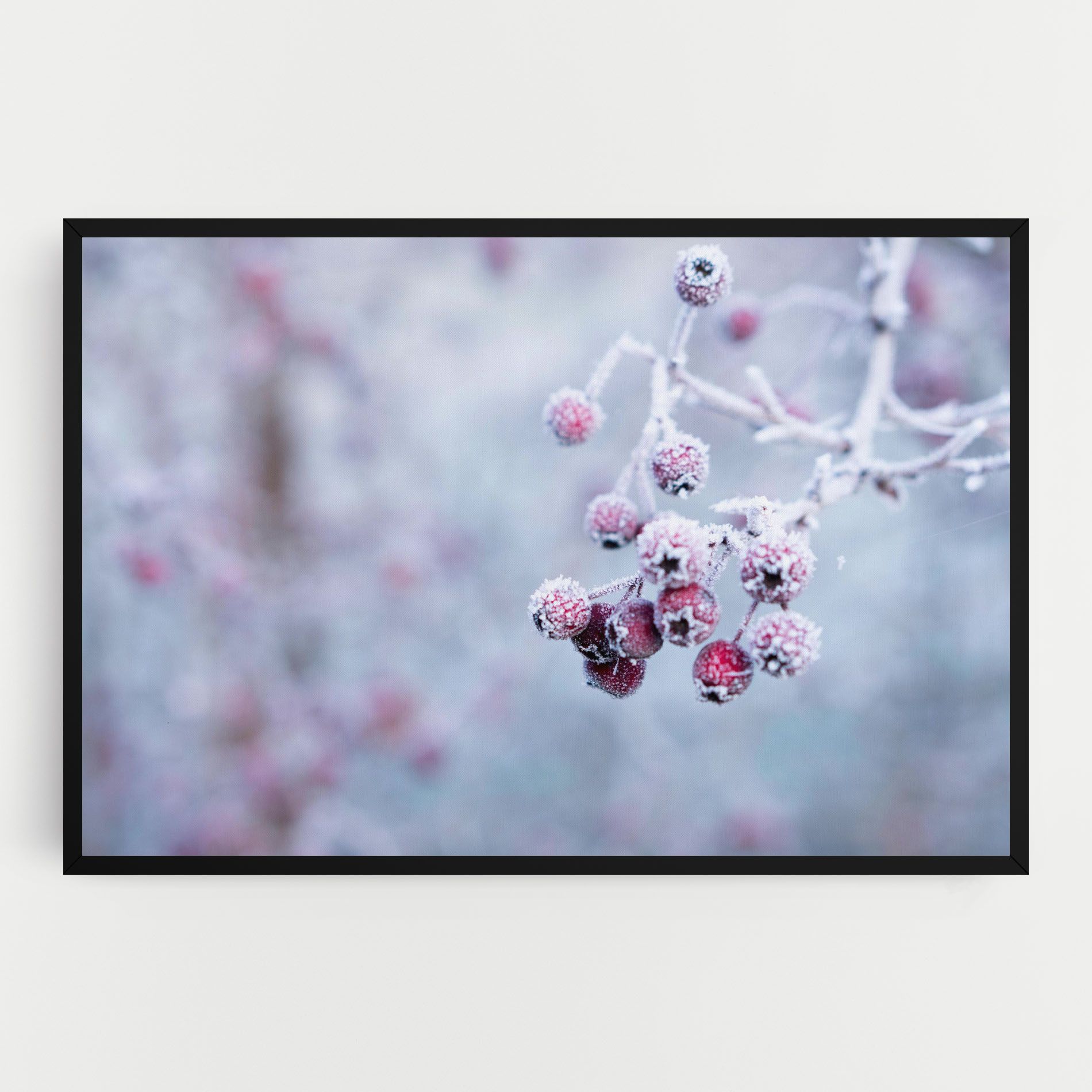 Red Winter Fruits mockup 0