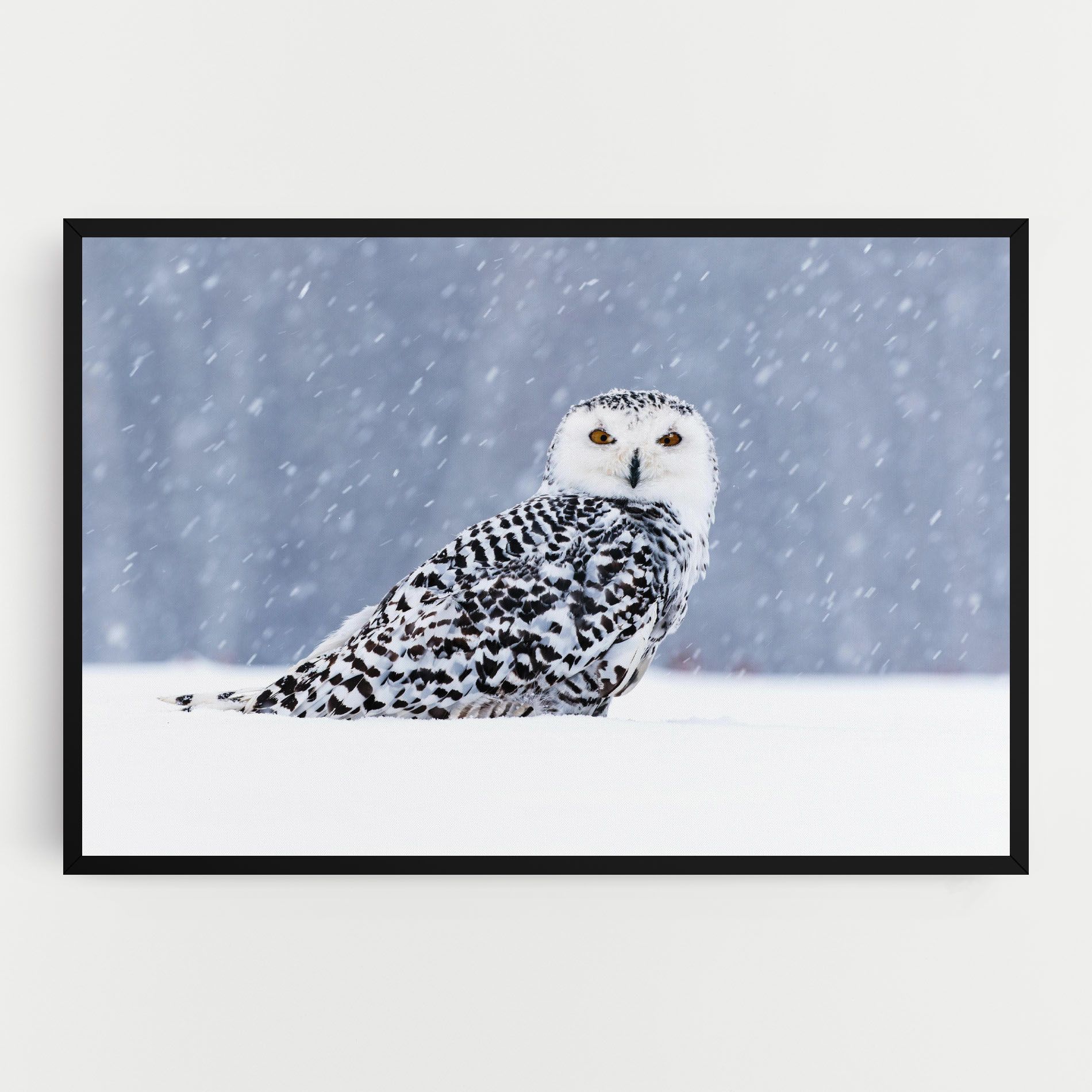 Snow Owl mockup 0