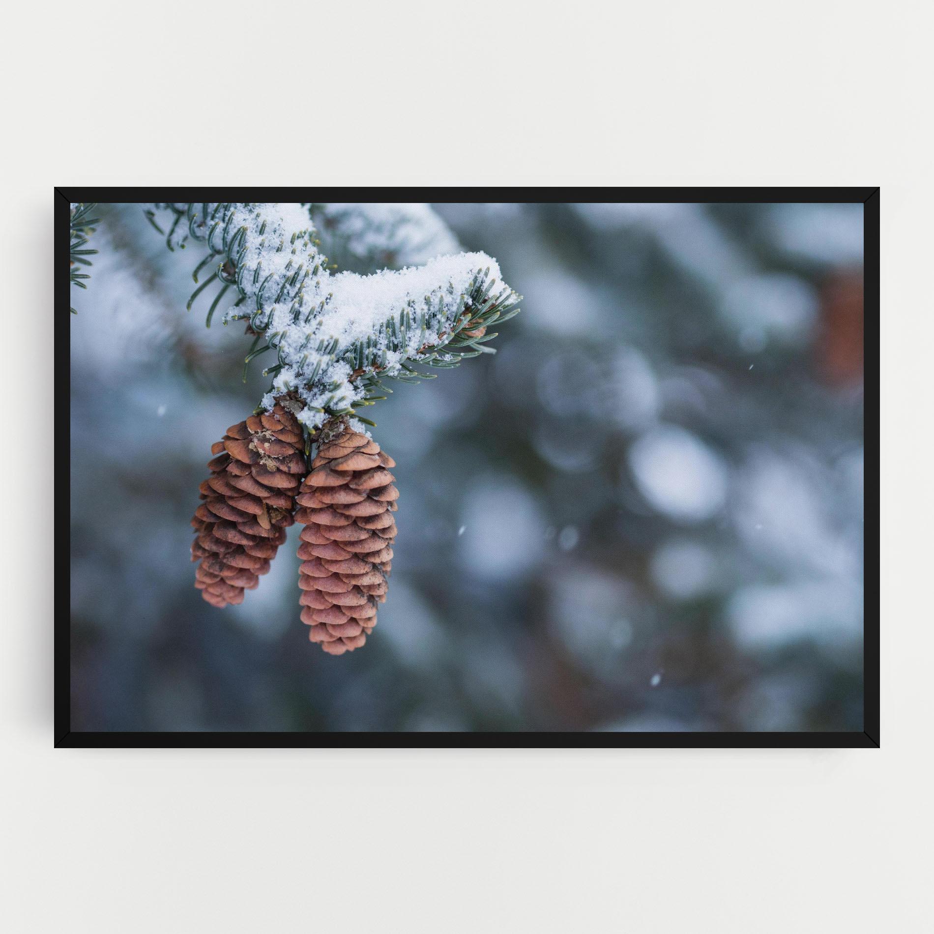 Vászonkép Winter Cones mockup 0