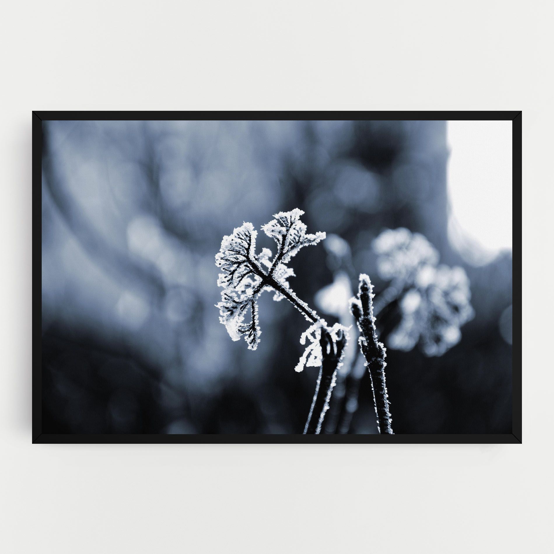 Winter Plant mockup 0