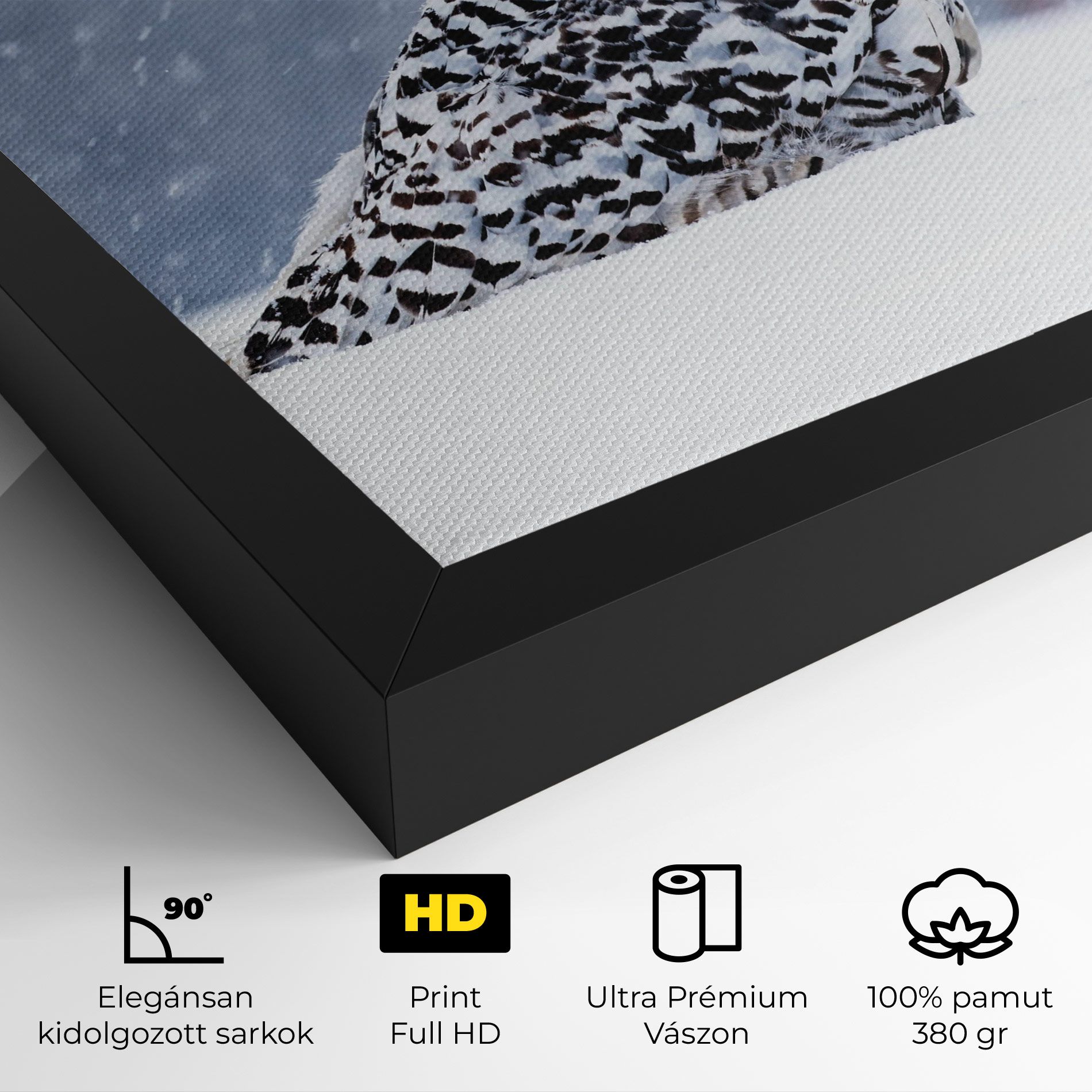 Snow Owl mockup 4