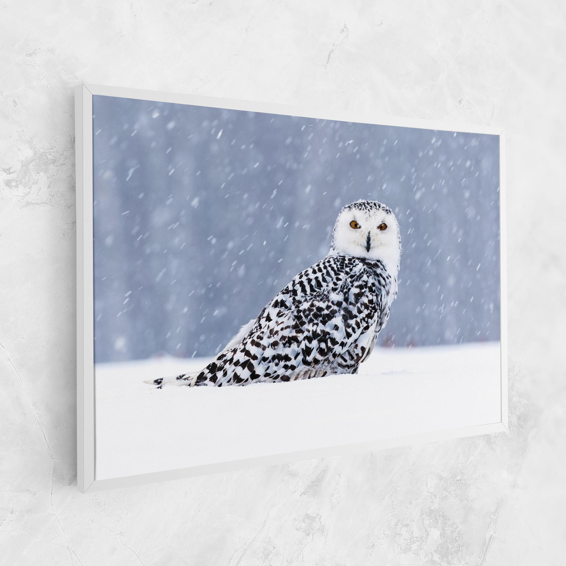 Vászonkép Snow Owl mockup 1