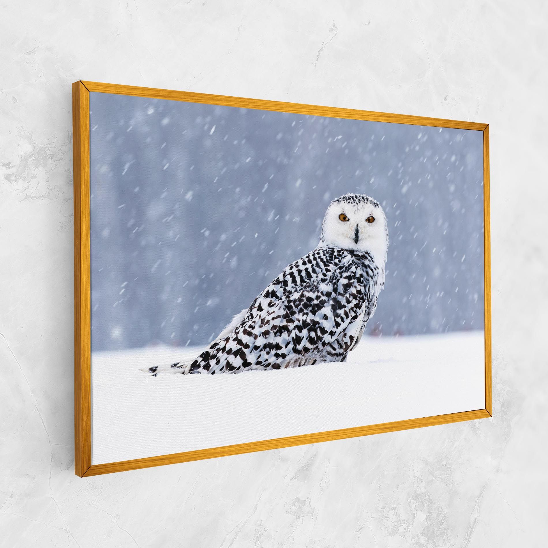 Snow Owl mockup 1