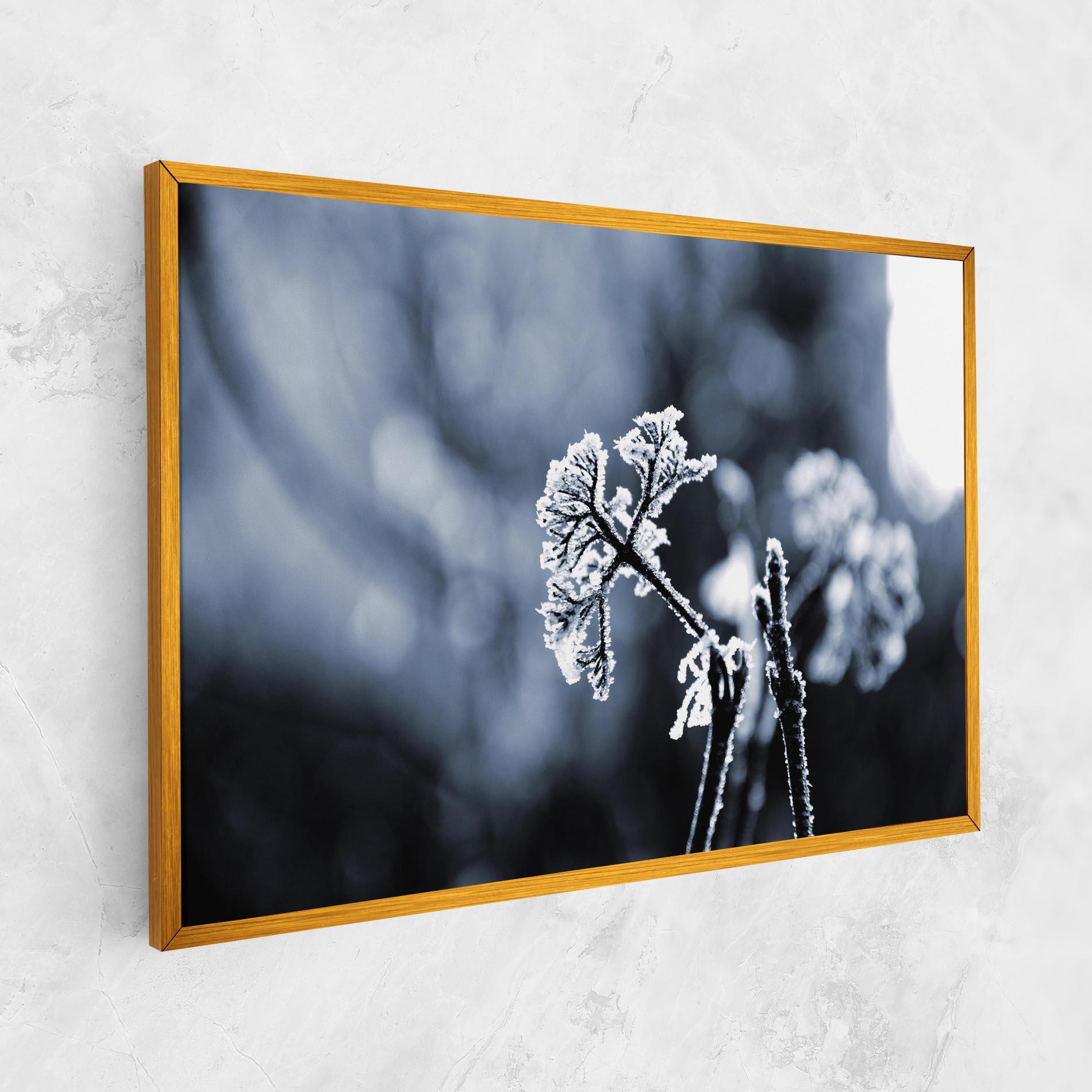 Vászonkép Winter Plant mockup 1