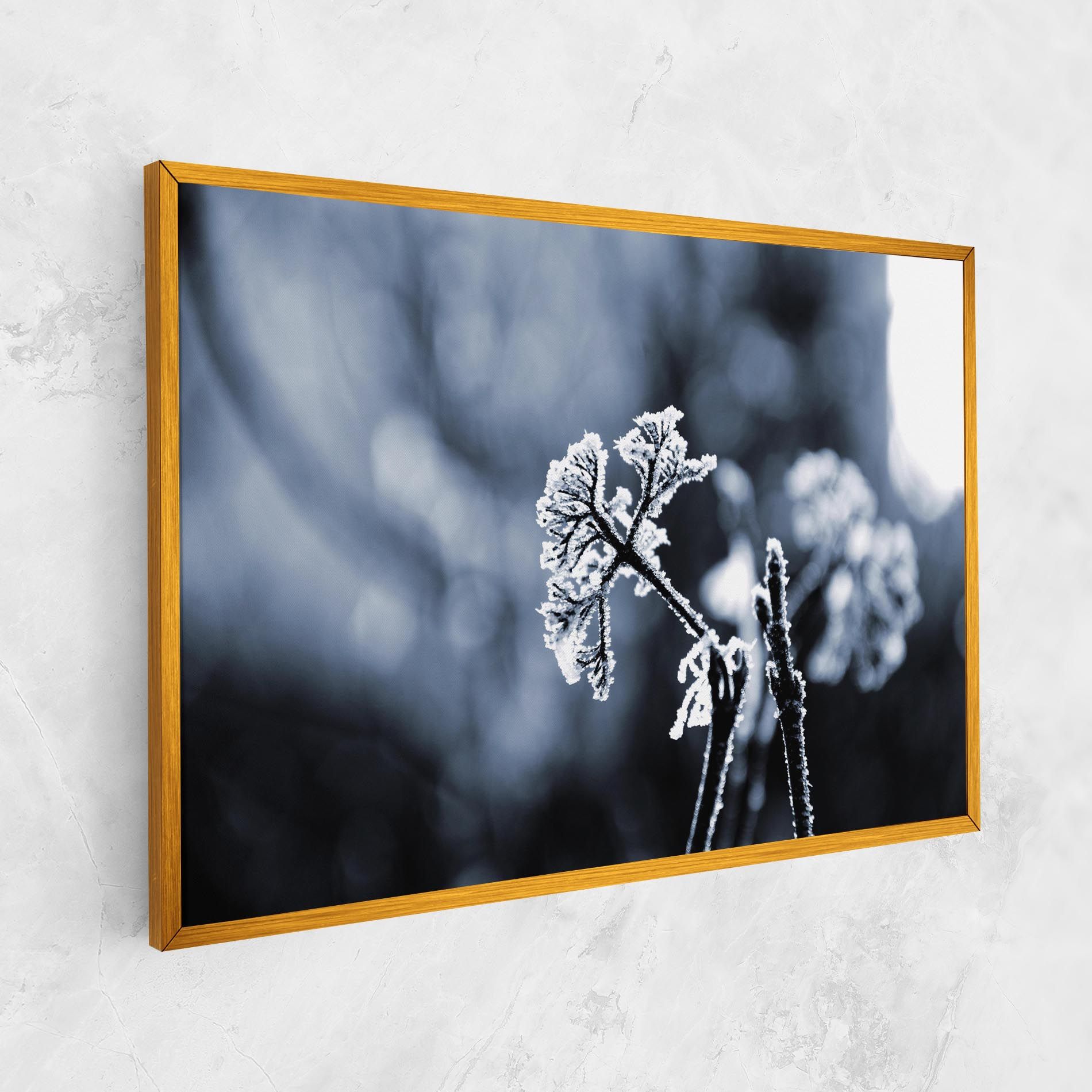 Winter Plant mockup 1