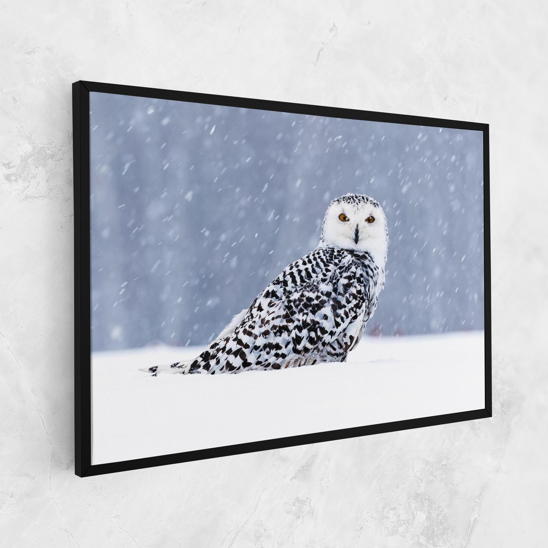 Snow Owl mockup 1