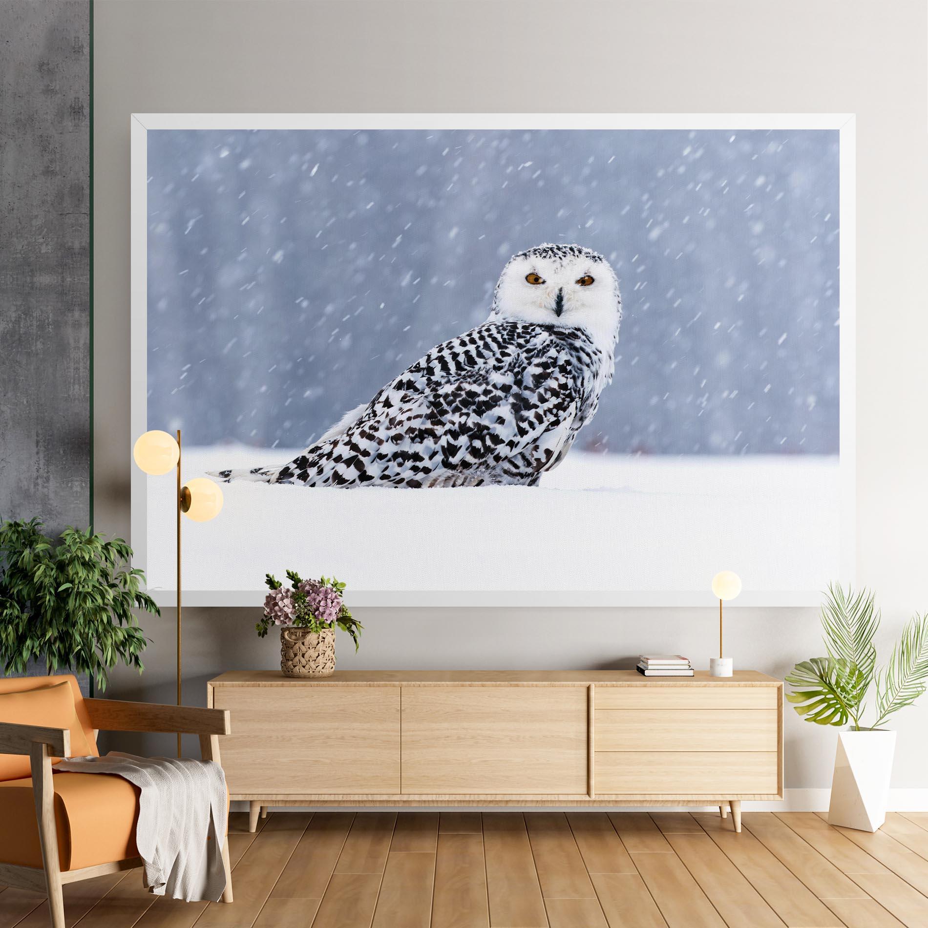 Vászonkép Snow Owl mockup 9