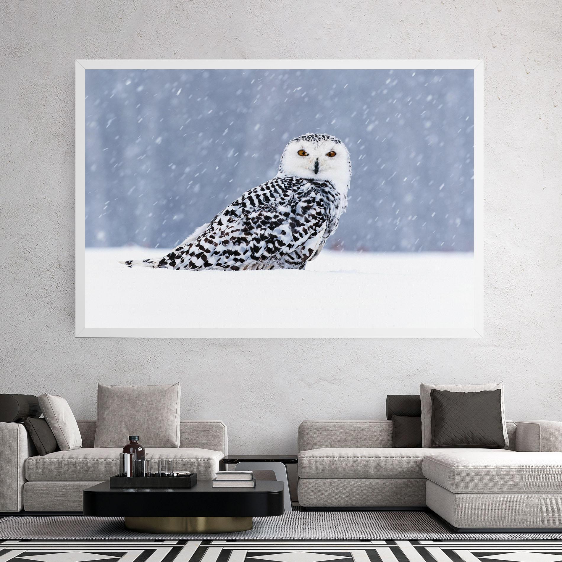 Vászonkép Snow Owl mockup 2