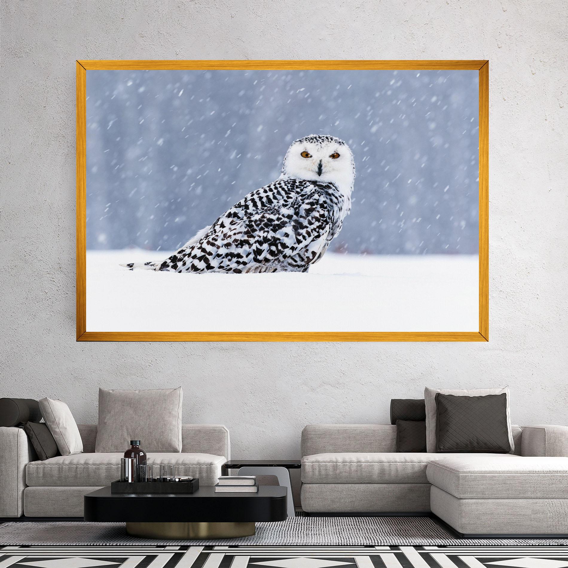 Vászonkép Snow Owl mockup 2